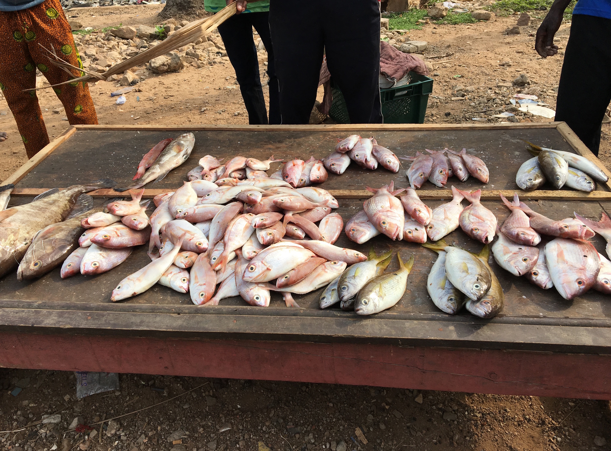 Fish sellers in Osu