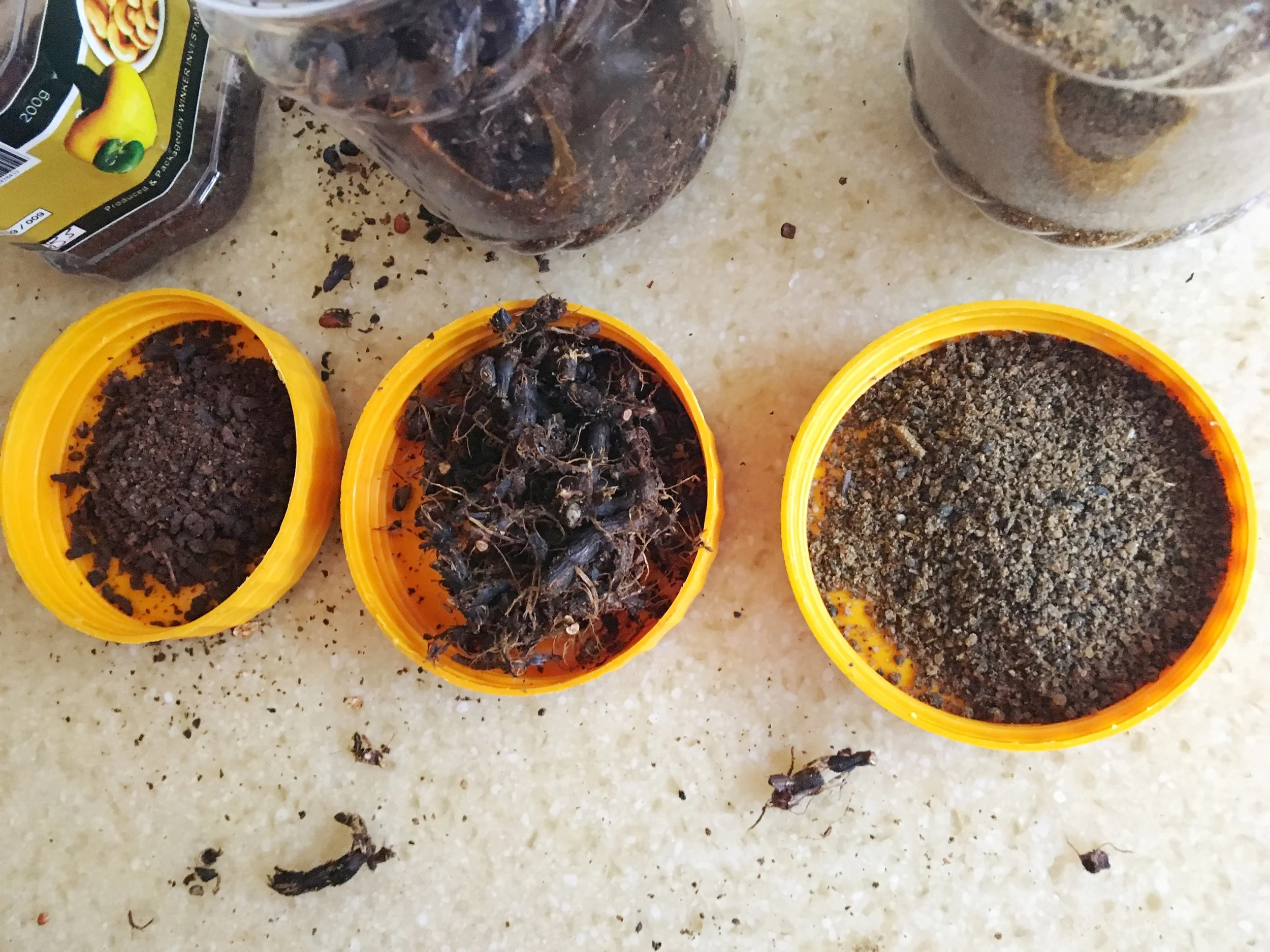 How to Make Your Own Homemade Ground Spices