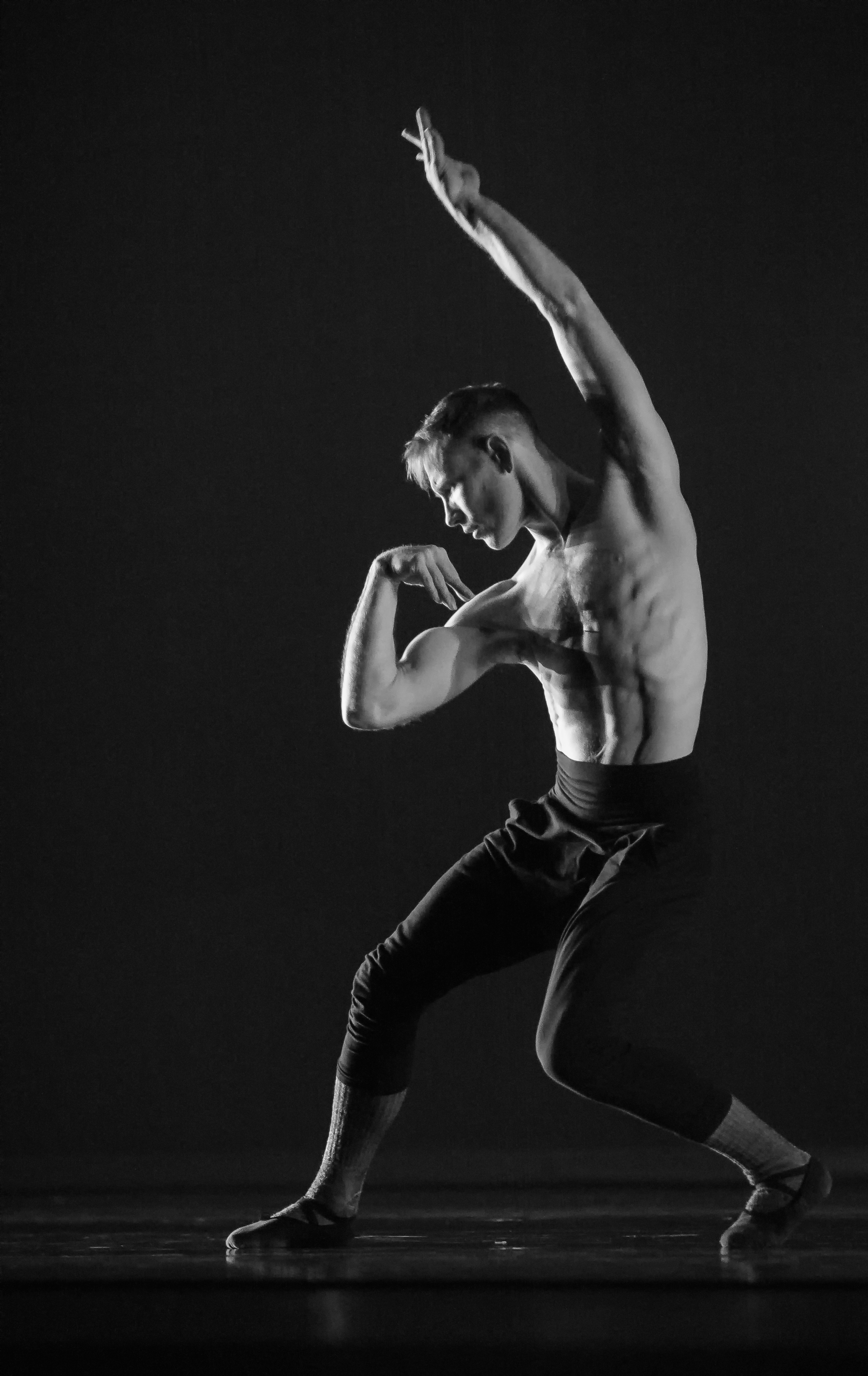 Image by Mike Reid