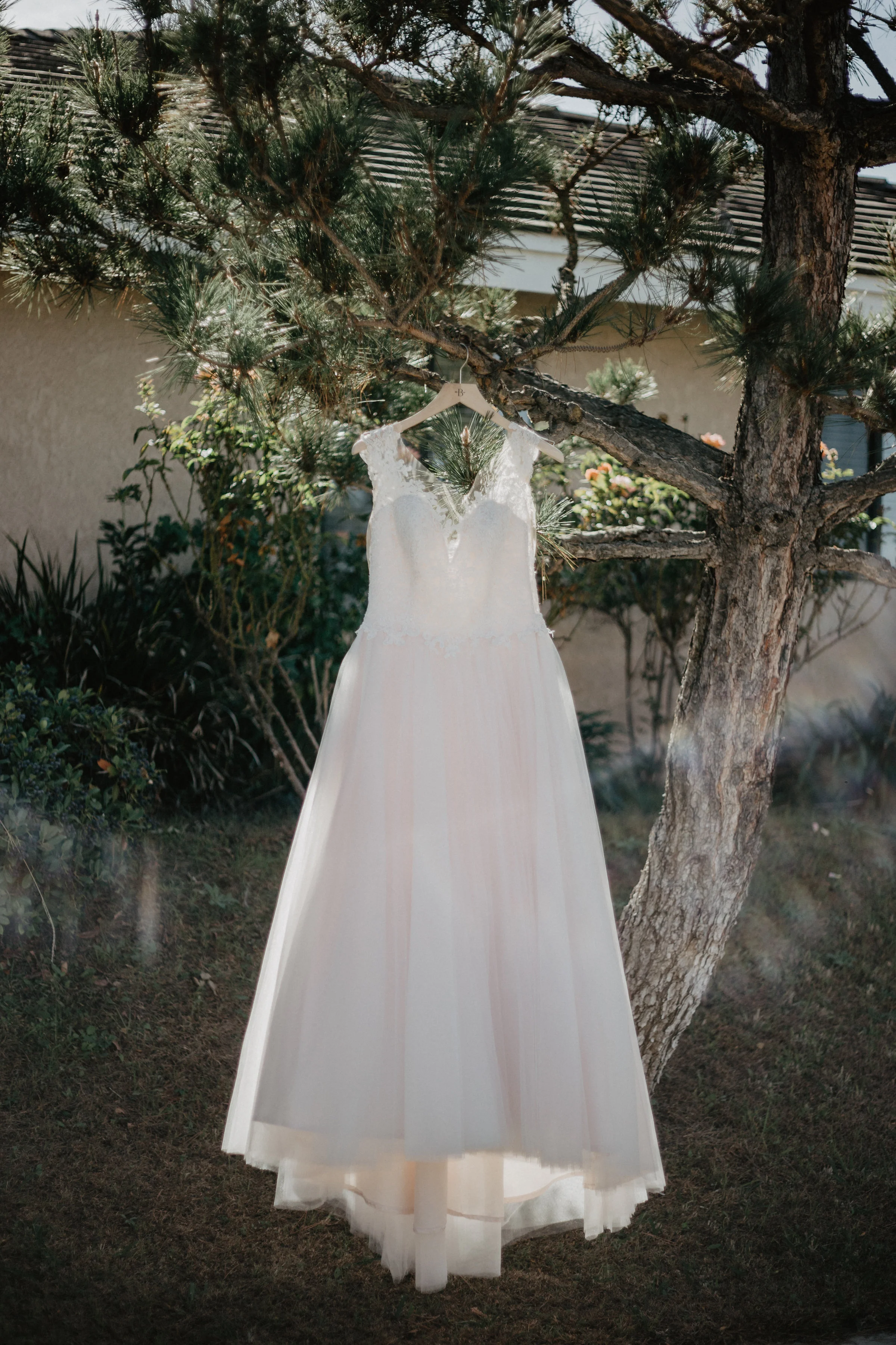 Daniel+Nina-2.jpg