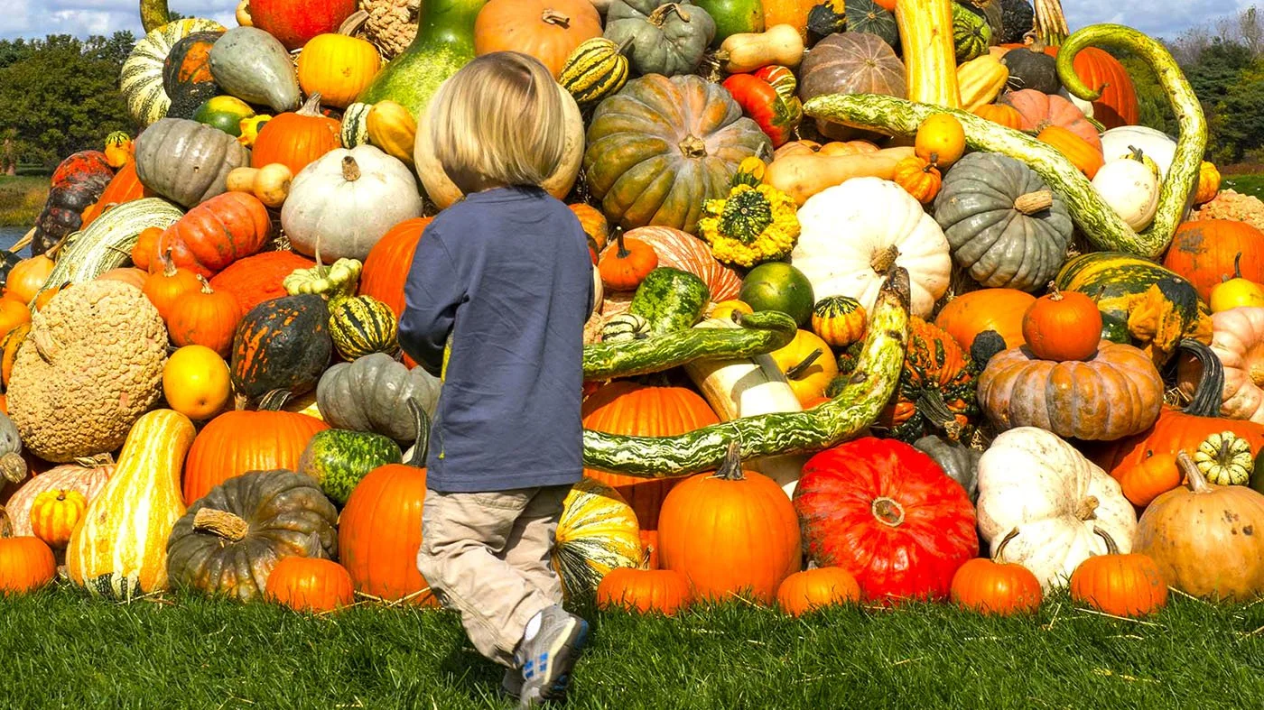 Chicago Botanic Gardens