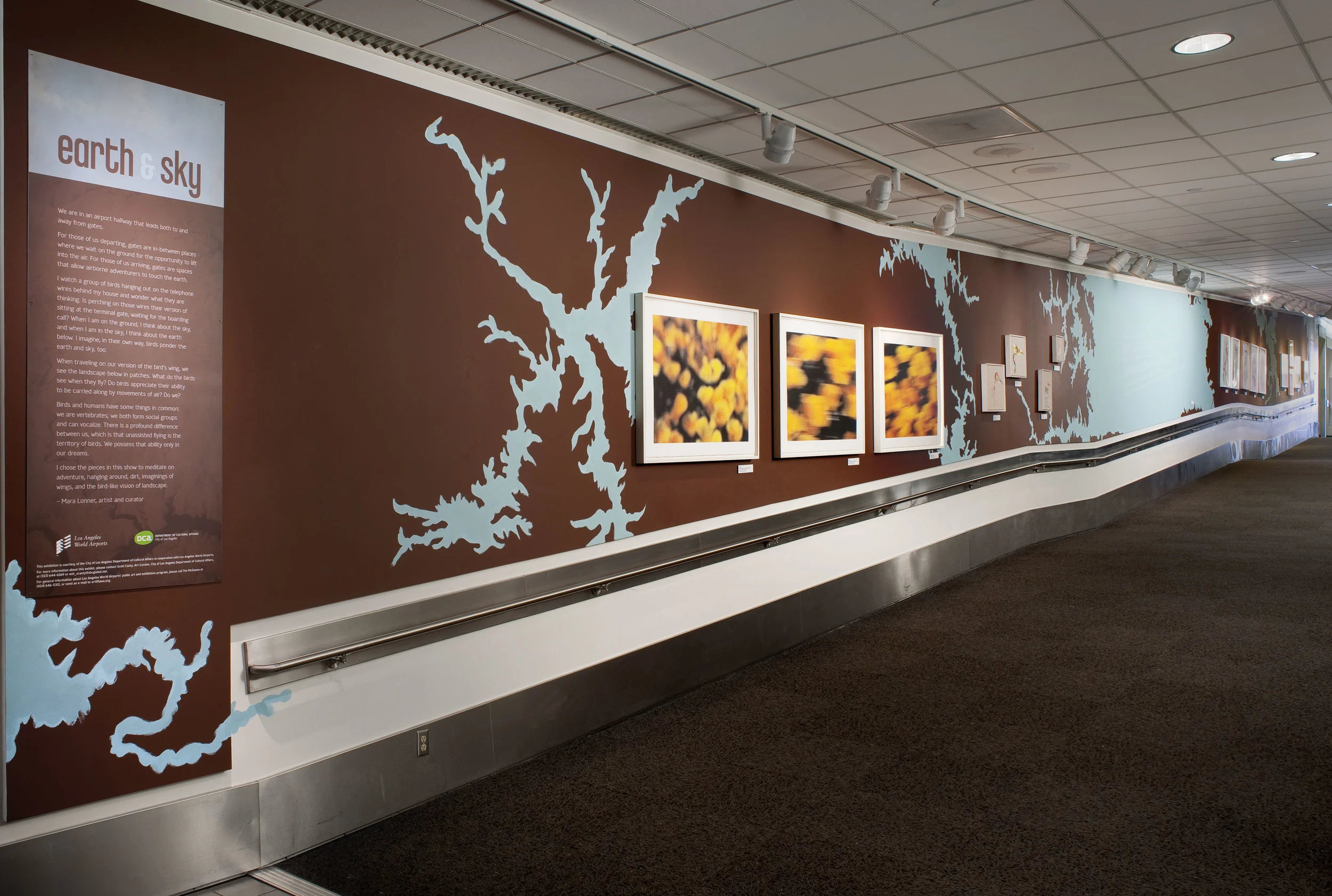 earth & sky, 2010