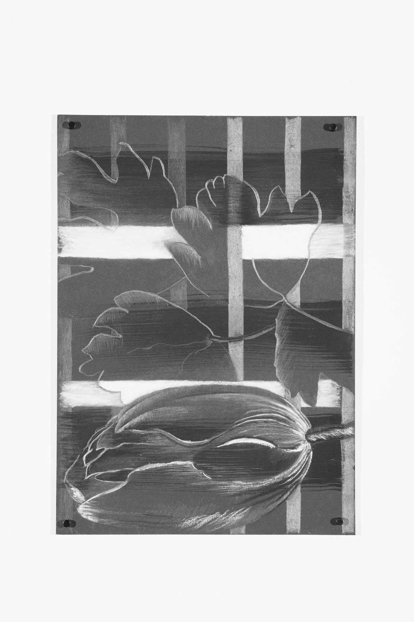 Clara's Bits #2, 2025