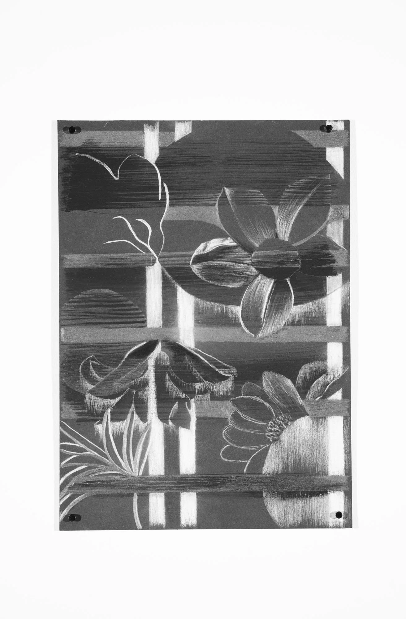 Clara's Bits #7, 2025