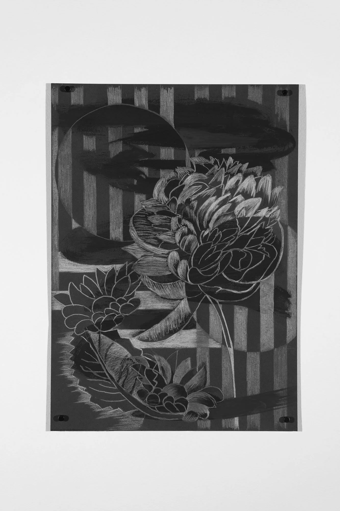 Clara's Bits #10, 2026