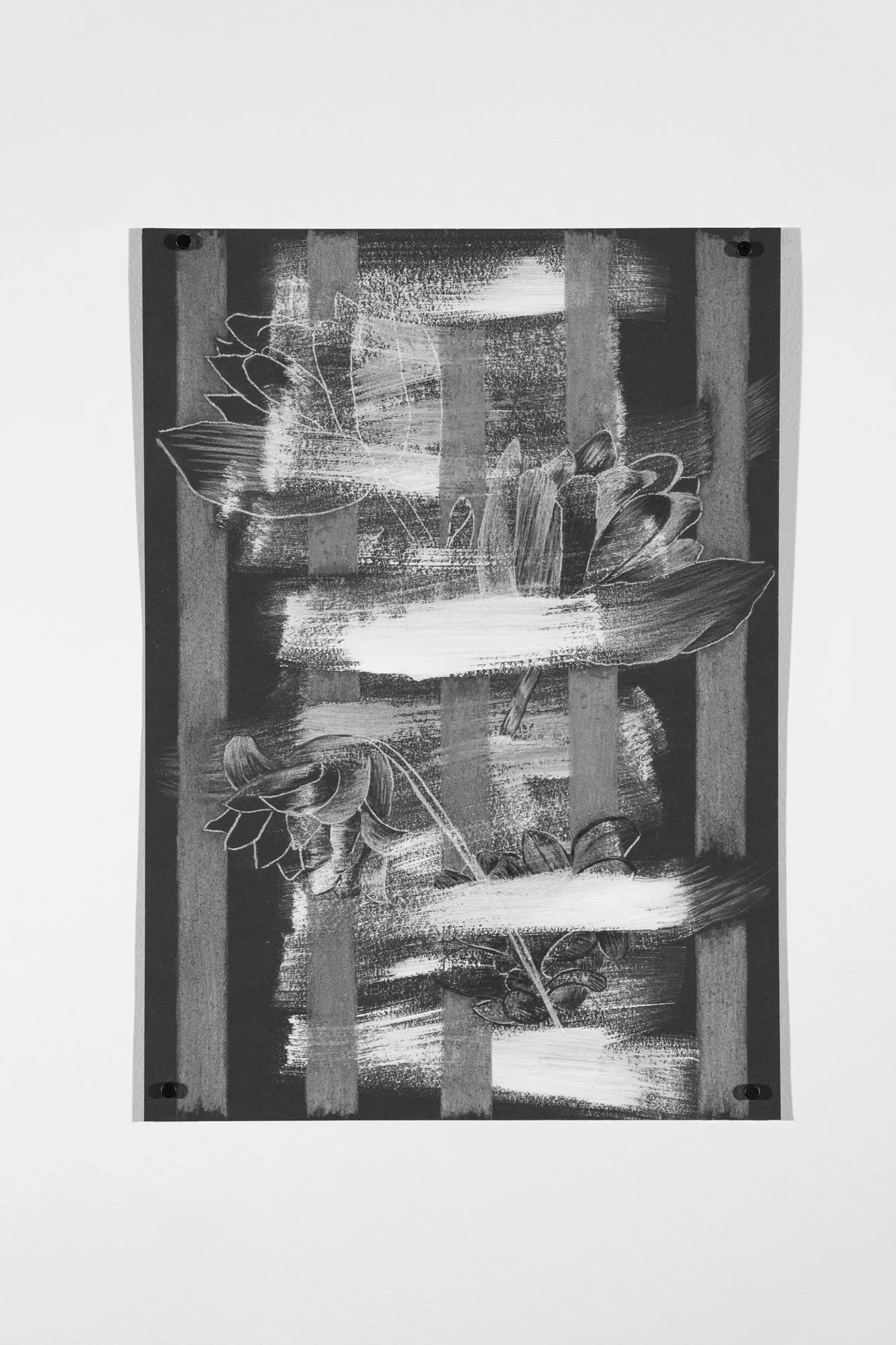 Clara's Bits #11, 2026