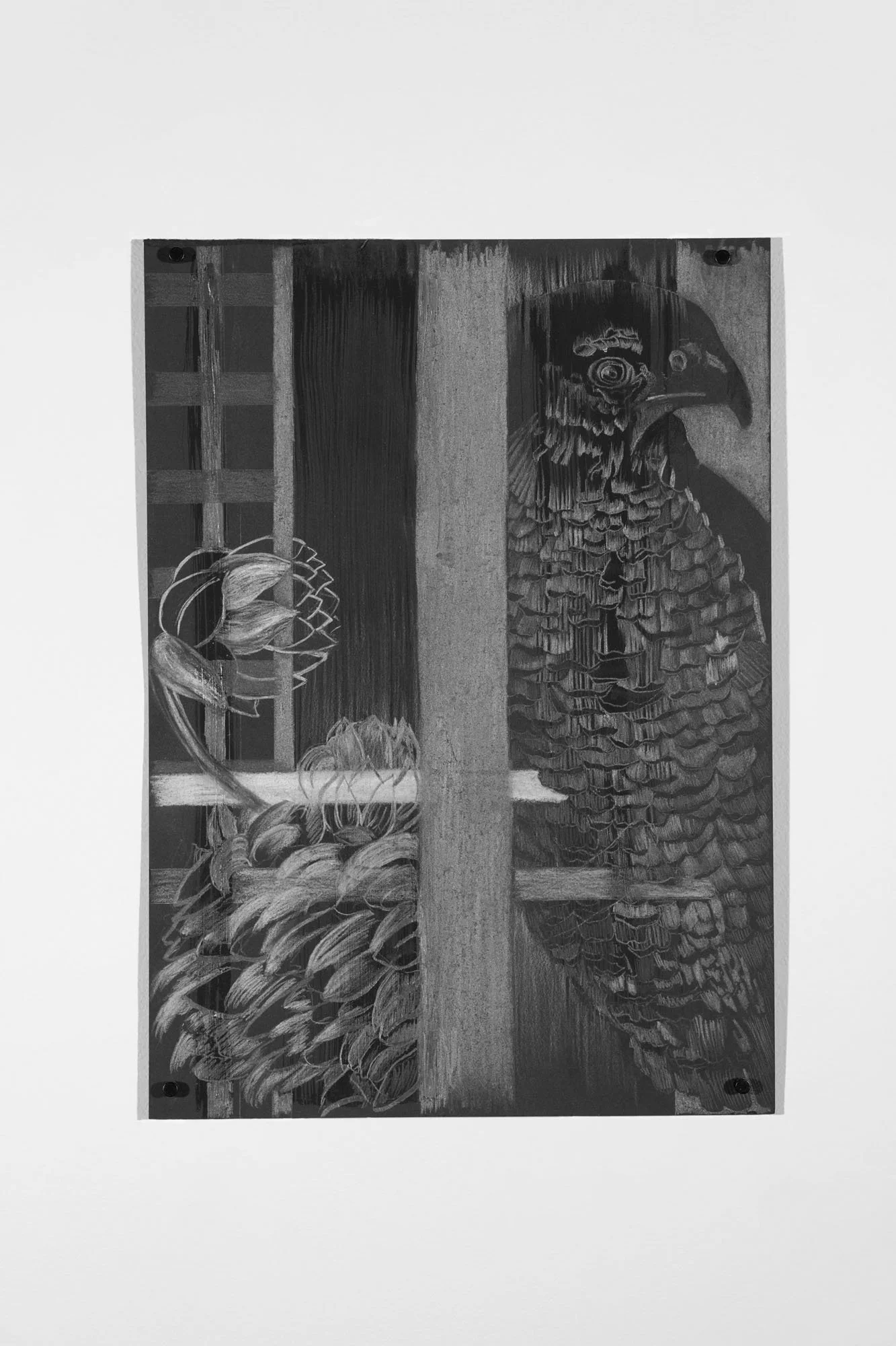 Clara's Bits #16, 2026