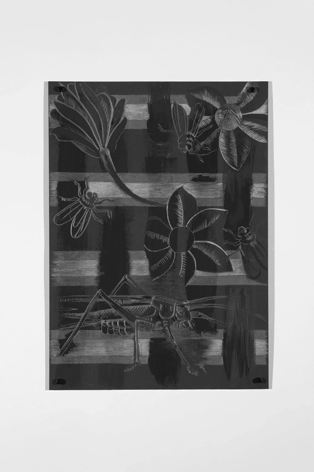 Clara's Bits #18, 2026