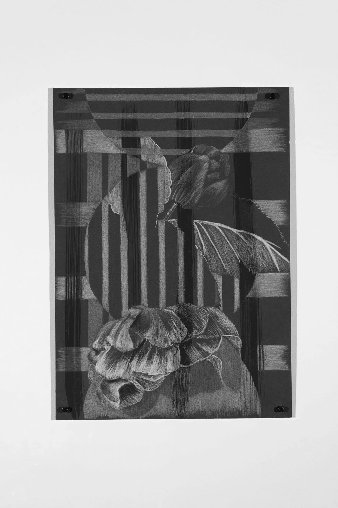 Clara's Bits #17, 2026