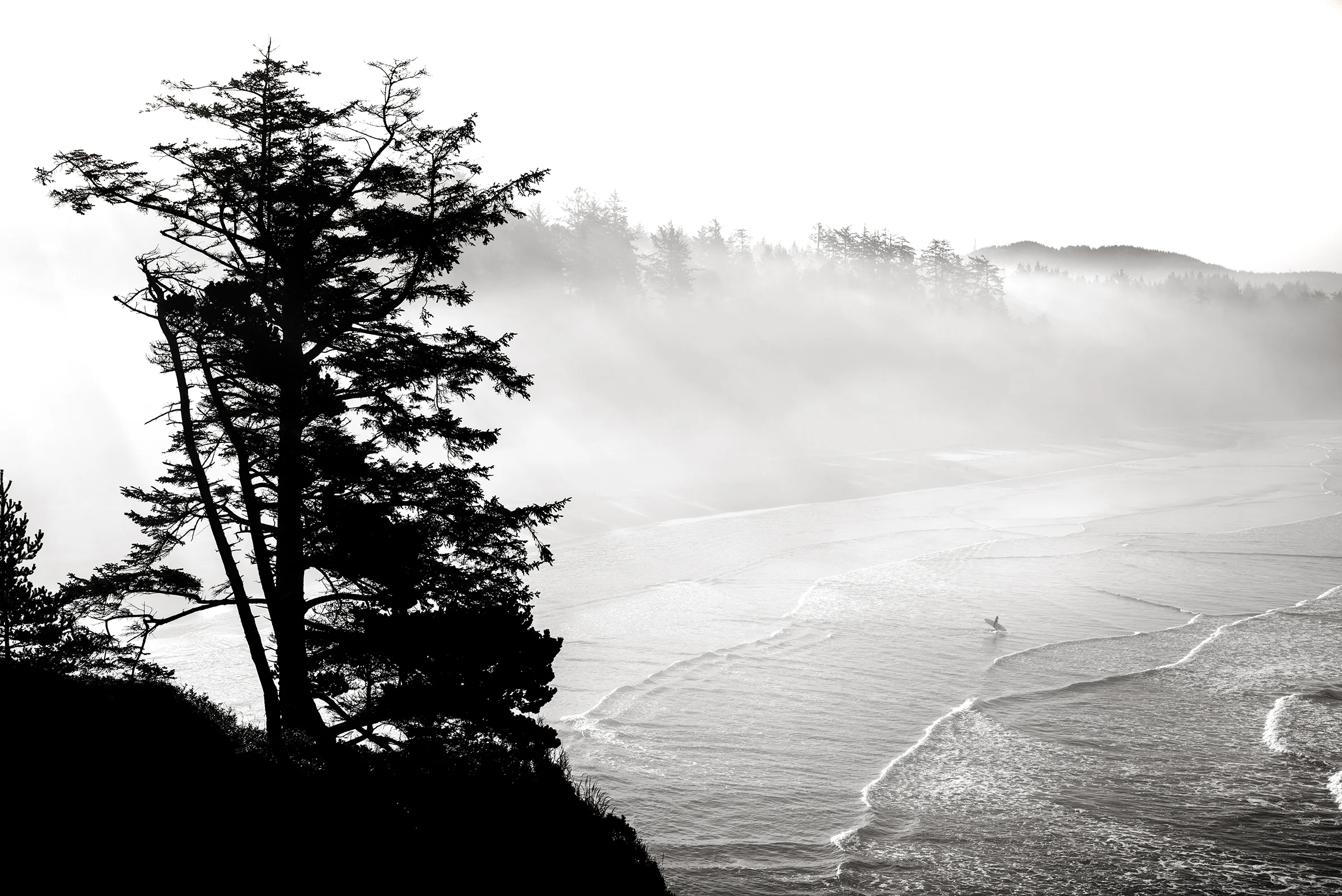 OREGON SURF