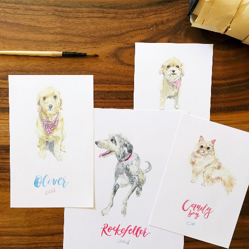 dog portrait