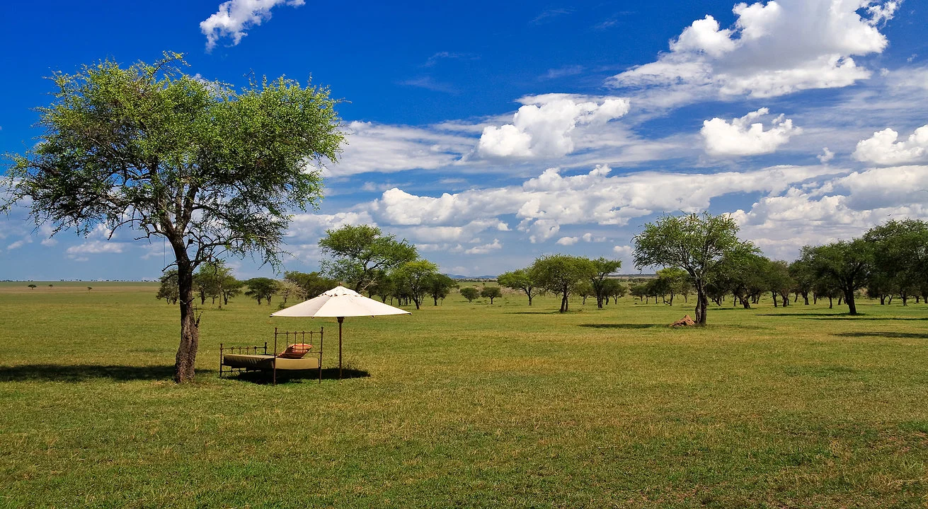 Sustainable Living.jpg