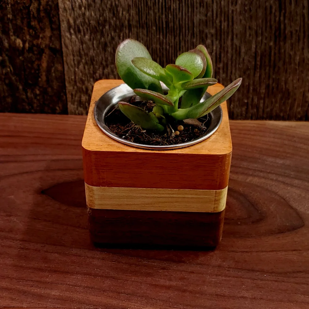 Succulent Planter  Rooted Woodworking