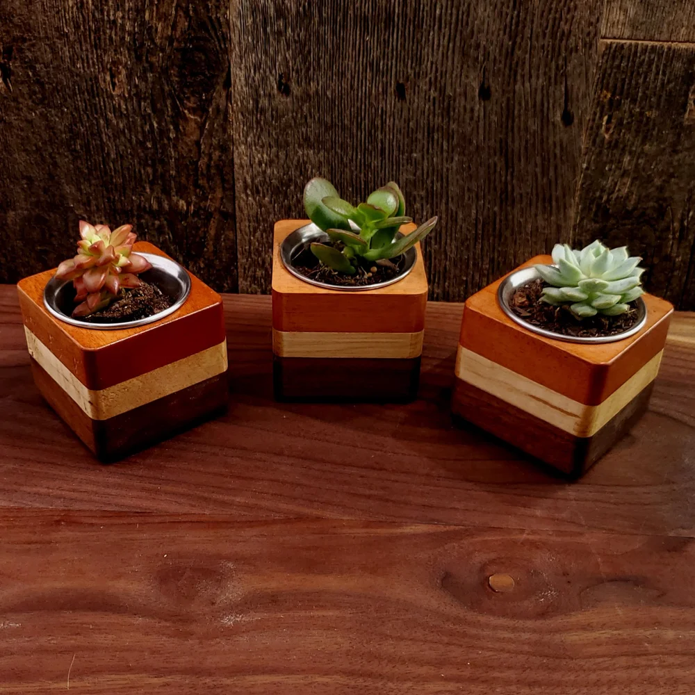 Succulent Planter  Rooted Woodworking