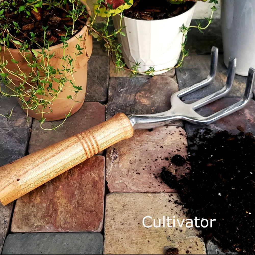 Must Have Garden Tools 2025: Essential Picks for Every Gardener