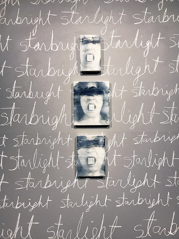 Burko_ArtProv_InstallationView_StarlightStarbright_detail.jpg