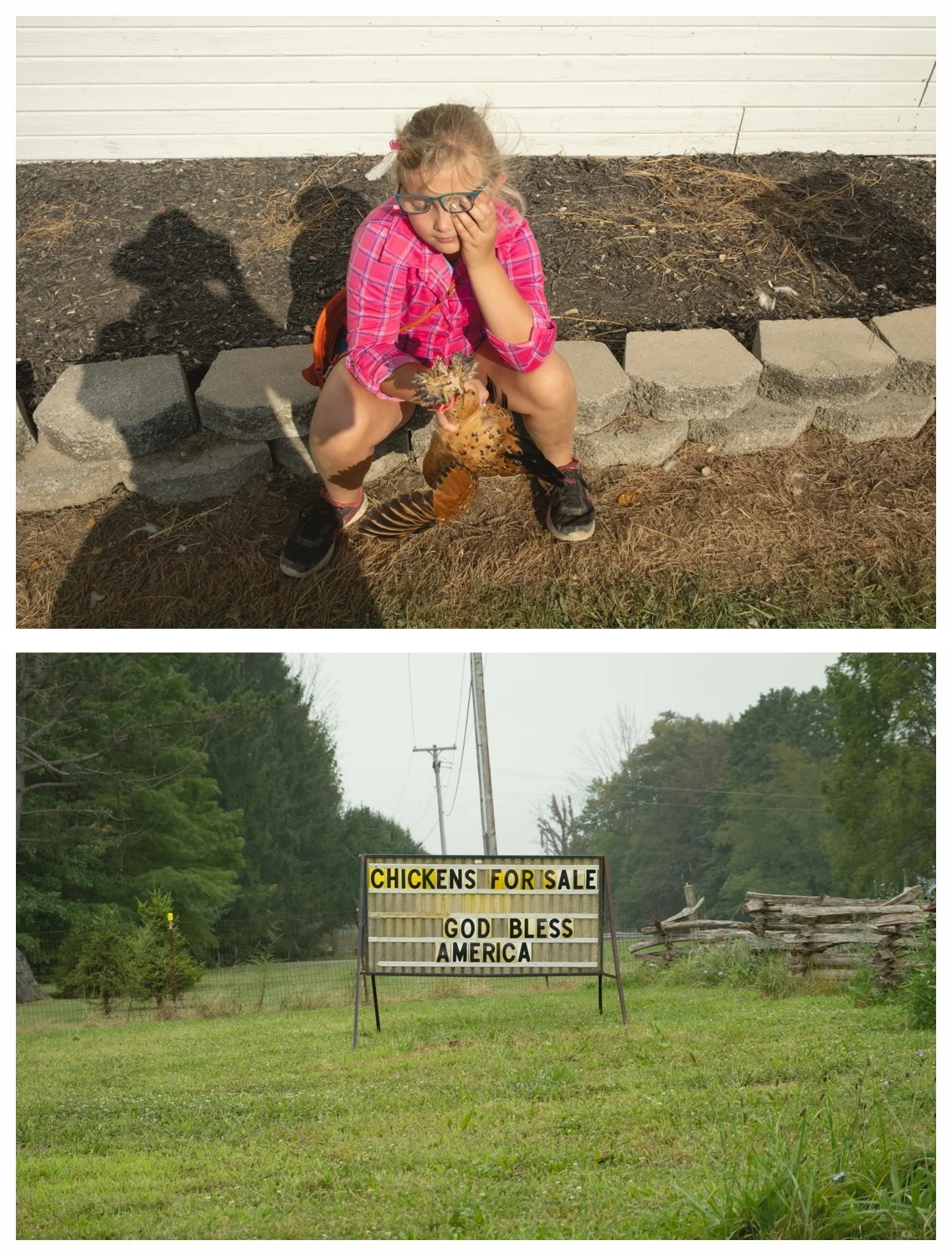 diptych chicken.jpg