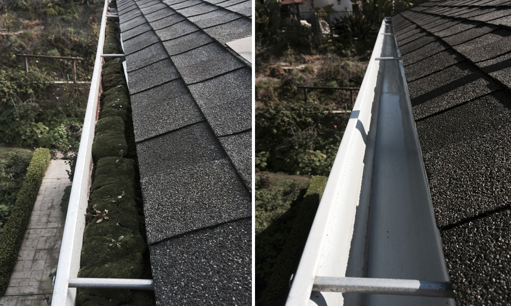 Highest Rated Roof Cleaning Near Me Seattle