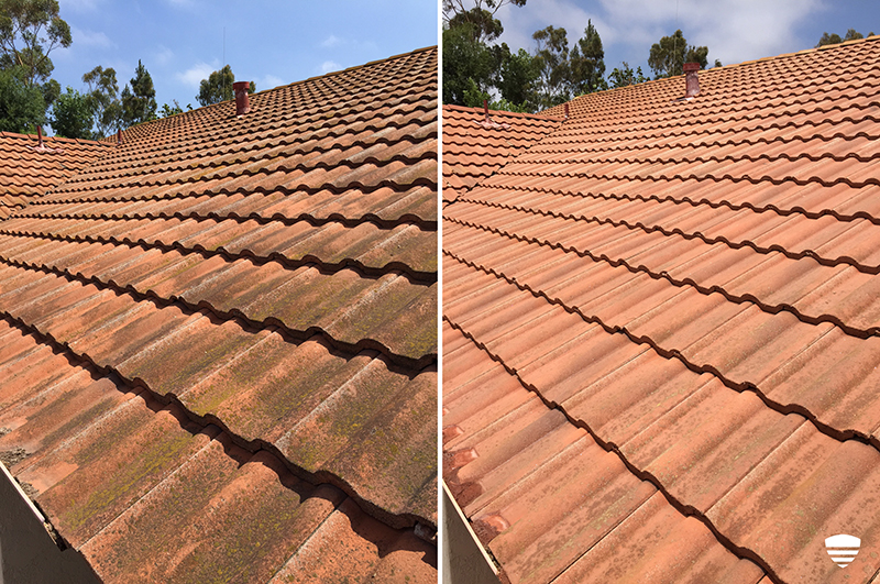 Roof B+A.jpg
