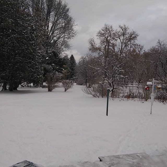 Fresh Christmas snow. Merry Christmas #Christmas#schoharie