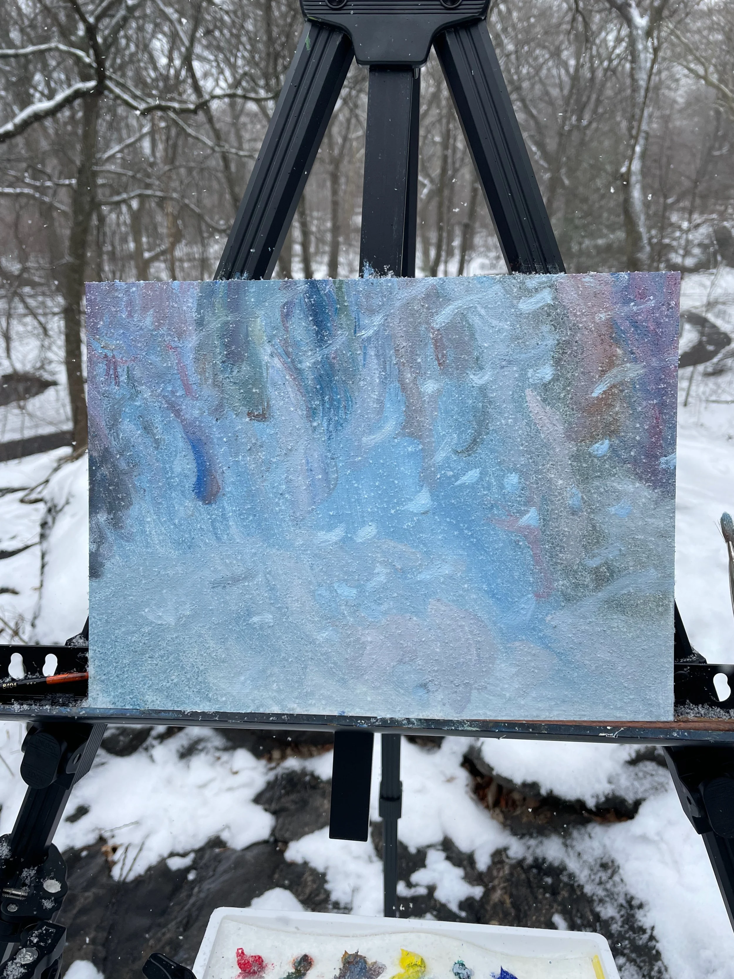 central-park-cold-soft-world-oil-painting-9x12-surrounding-03.jpeg