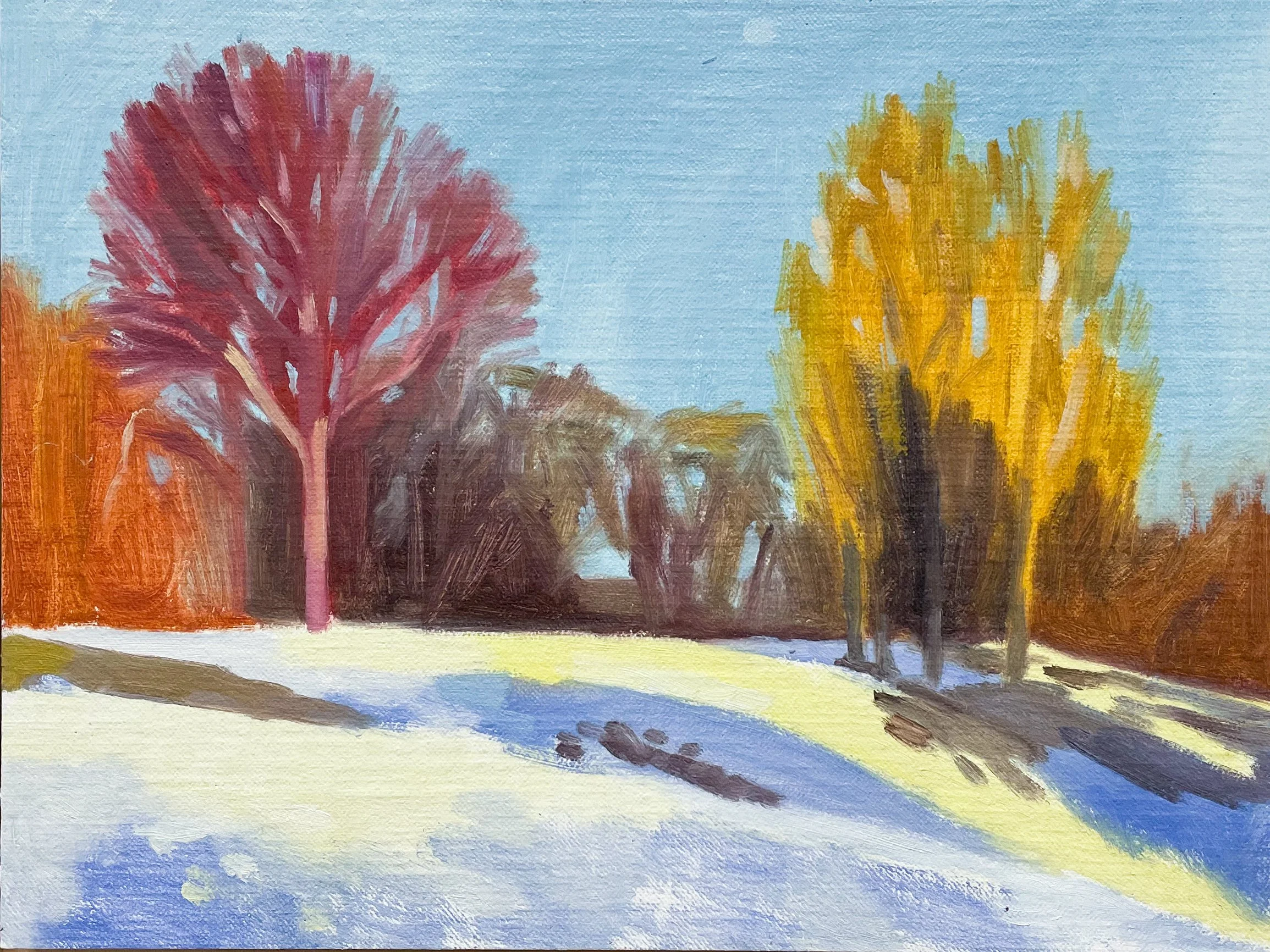Winter Melt with Afternoon Moon