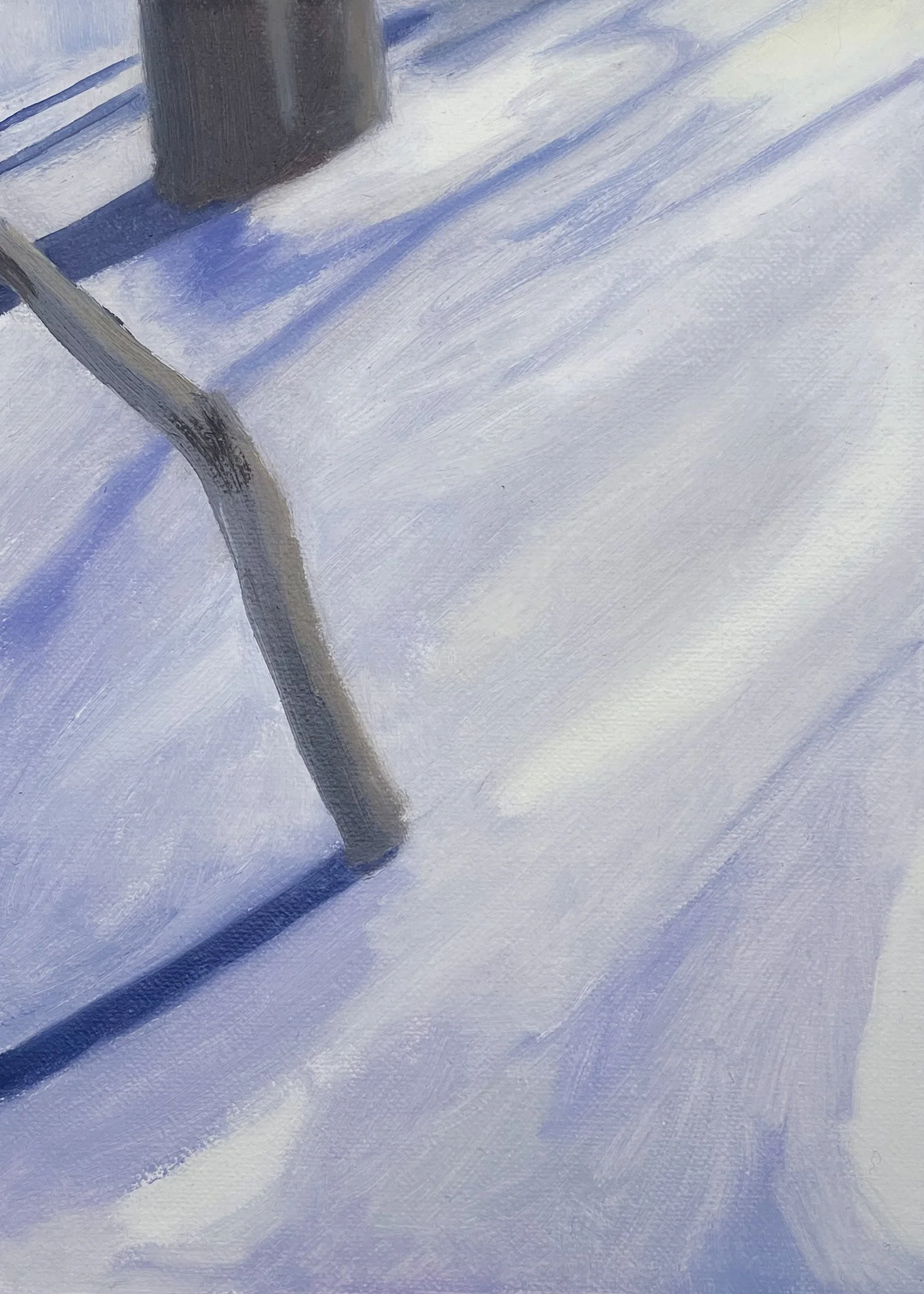 Afternoon Light in January