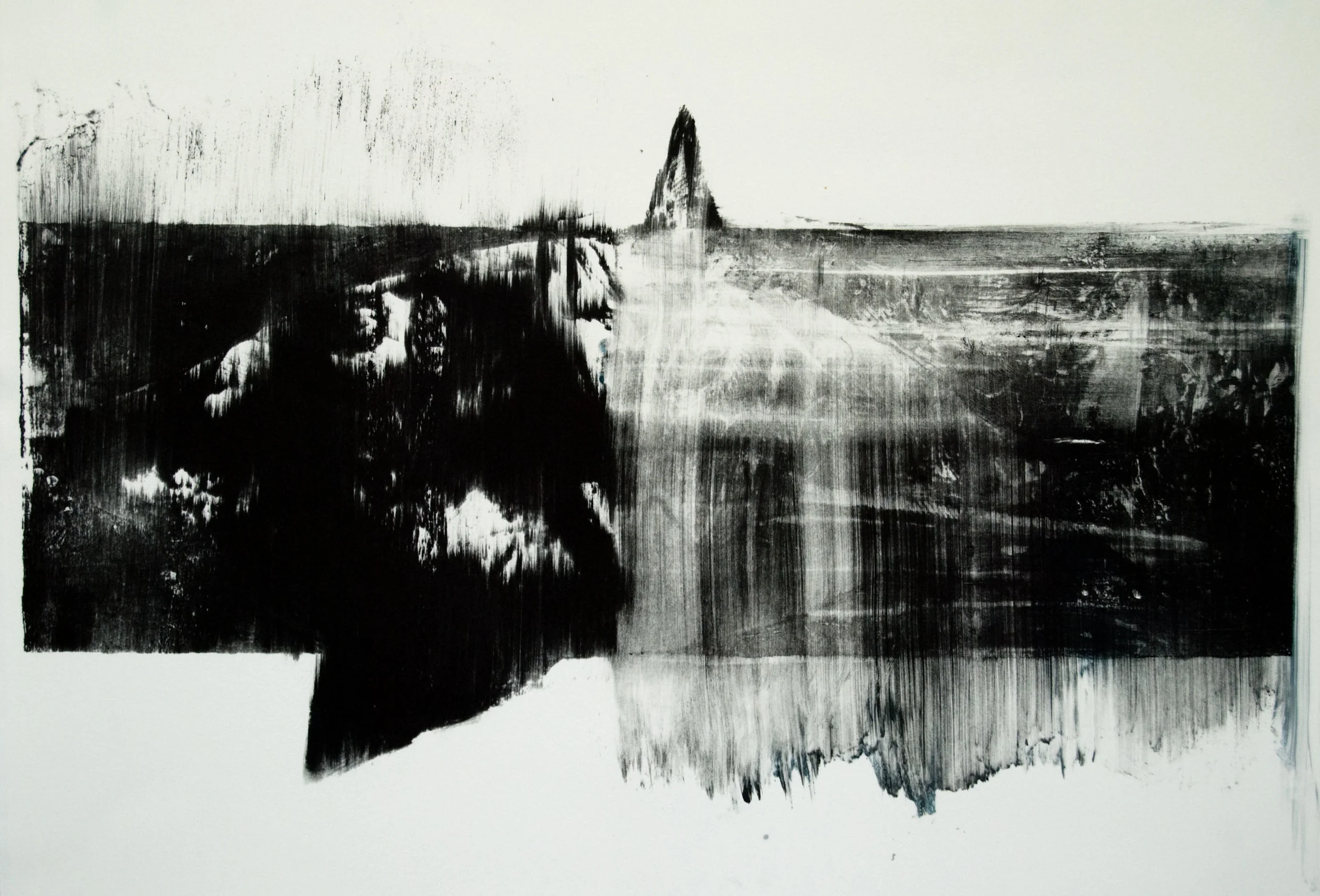 Shark, lithograph on polyester plate. 
