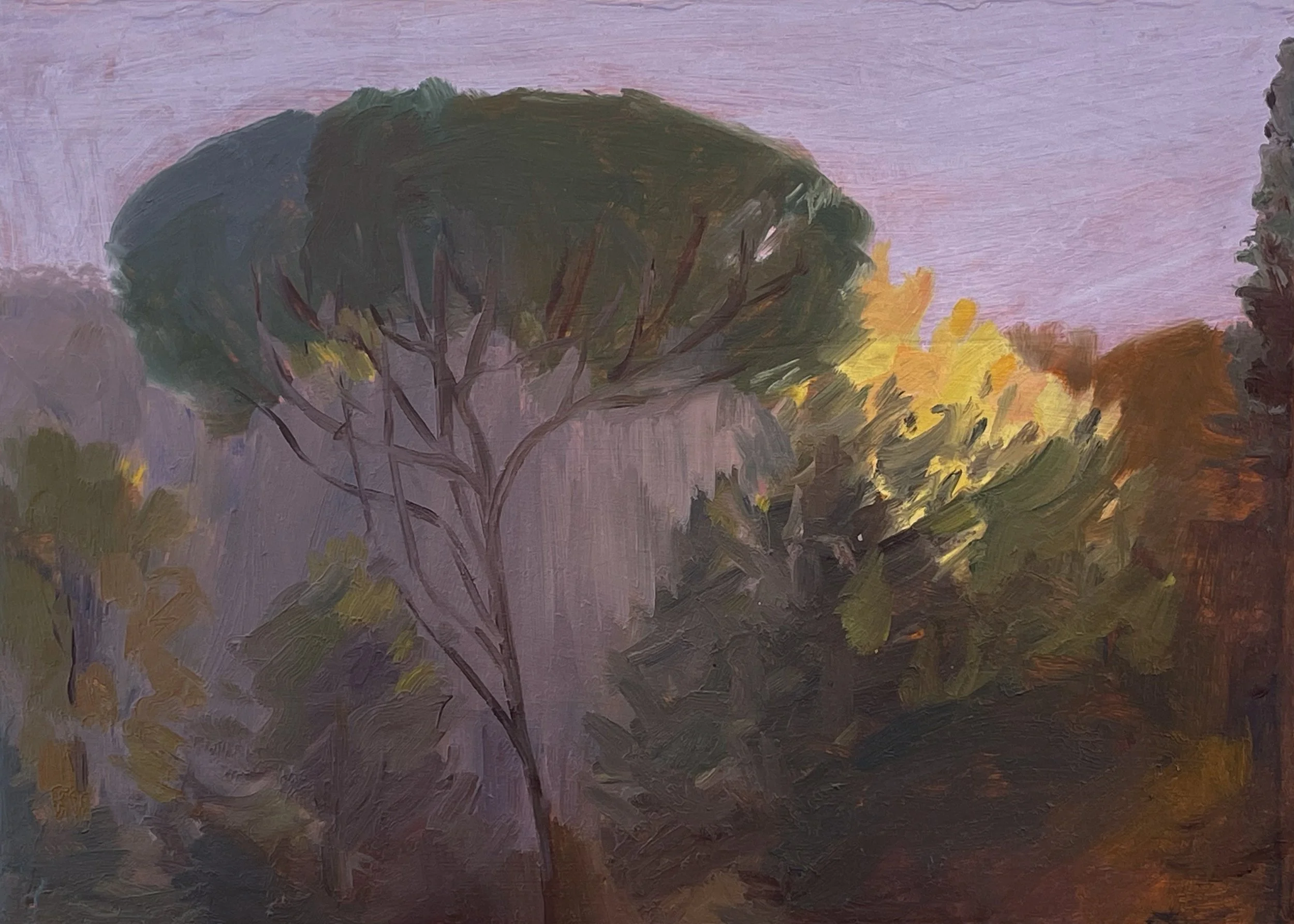 Italian Sunset, October 2025