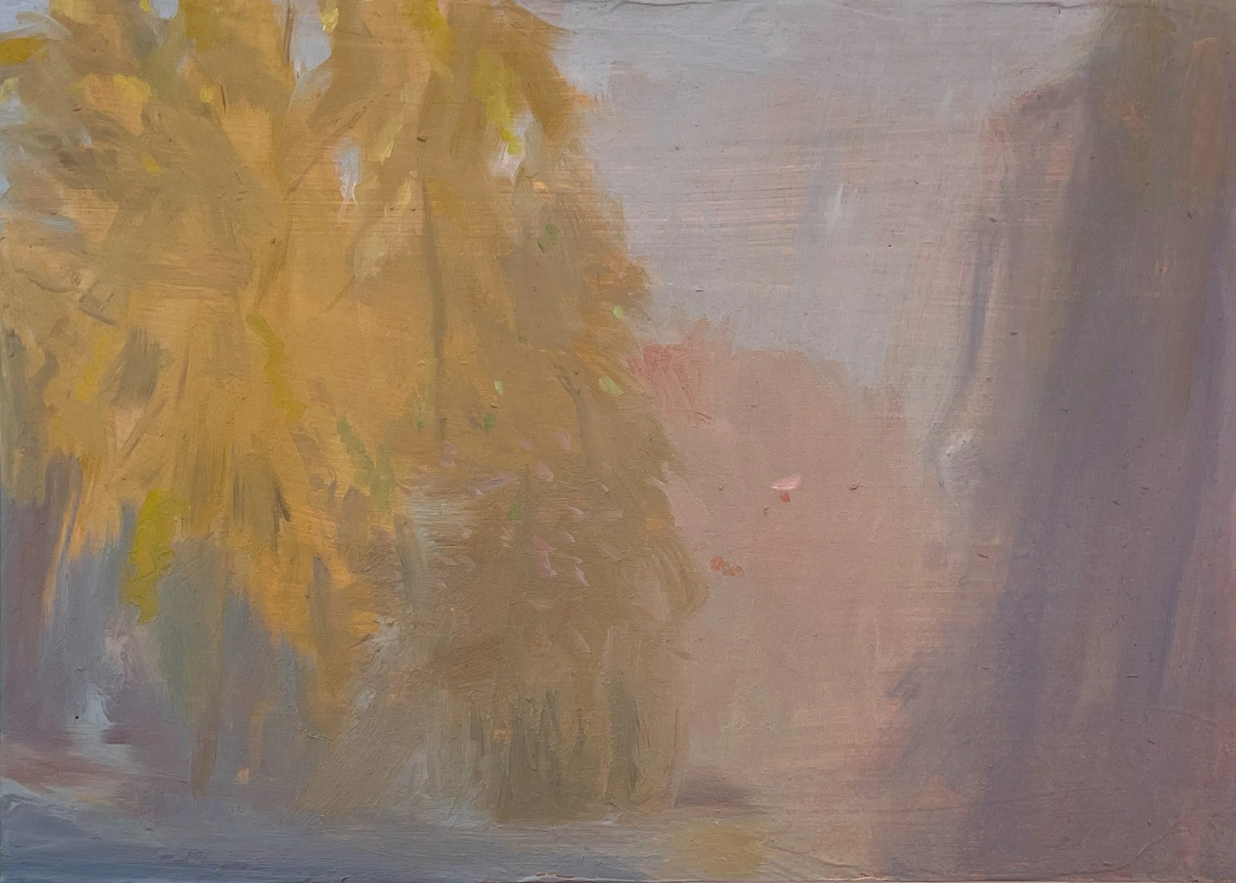 Street View, November 2025