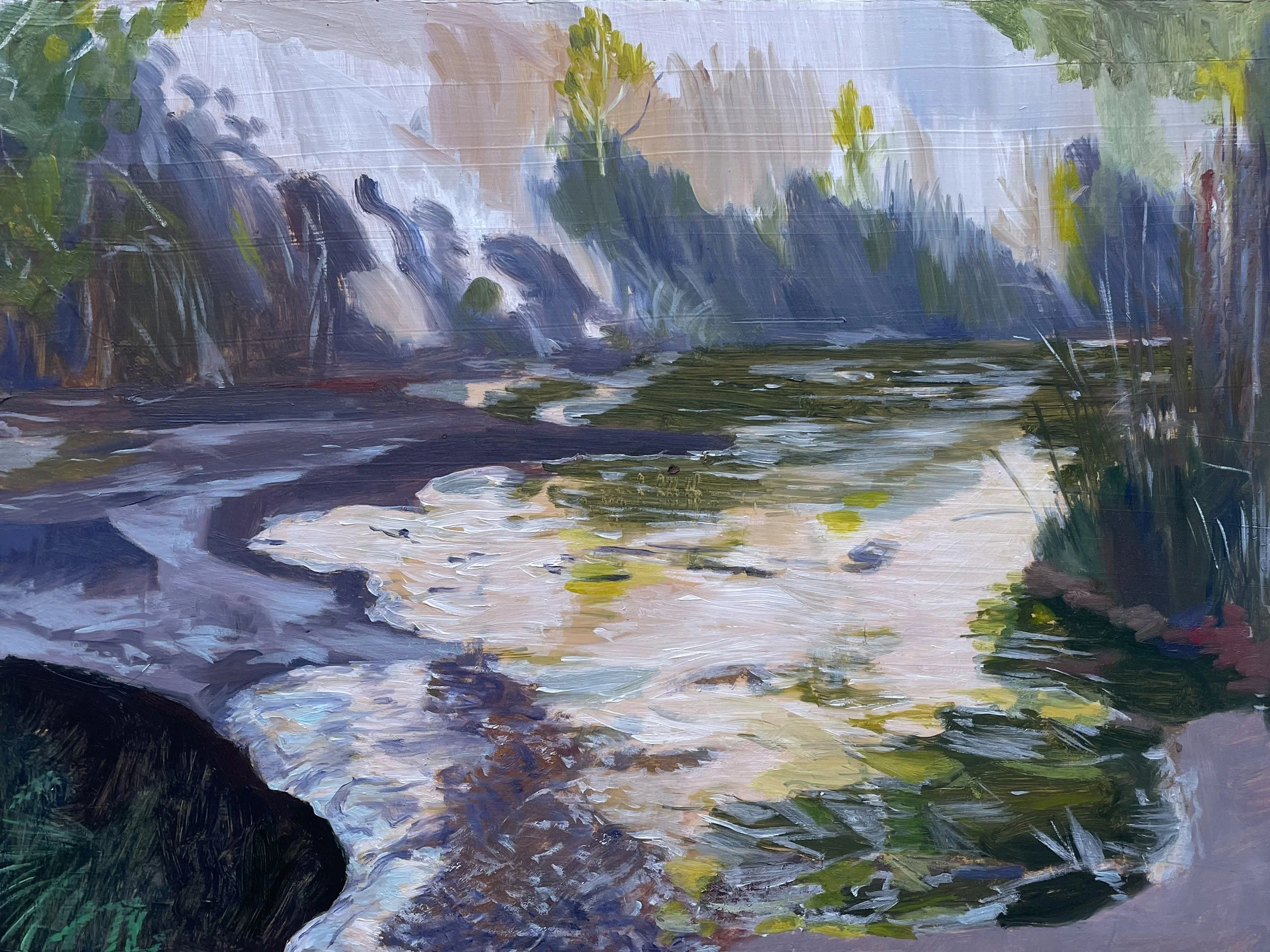 Morning Thaw in the Canyon, January 2025