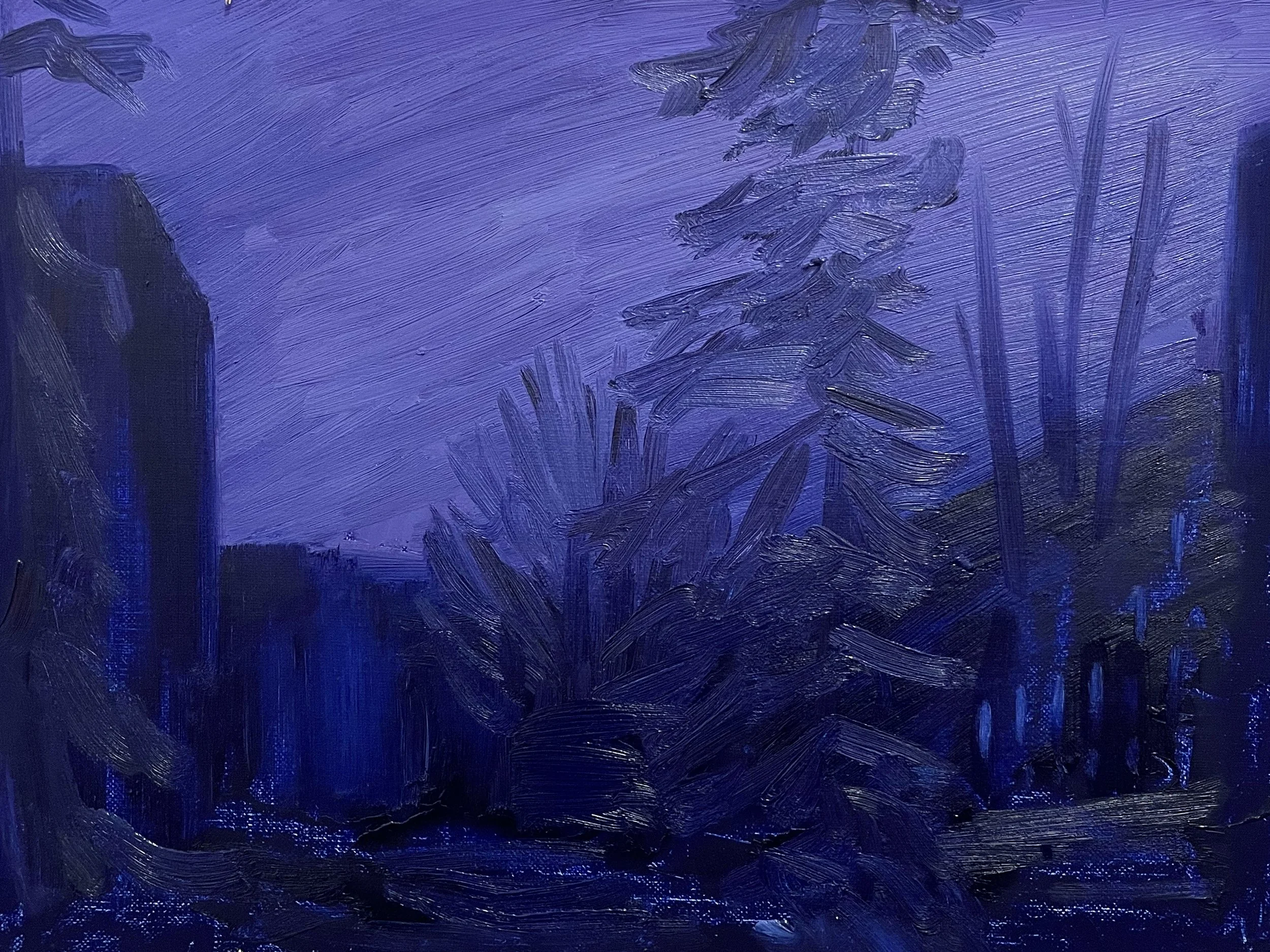 Night of the Snow, February 2025