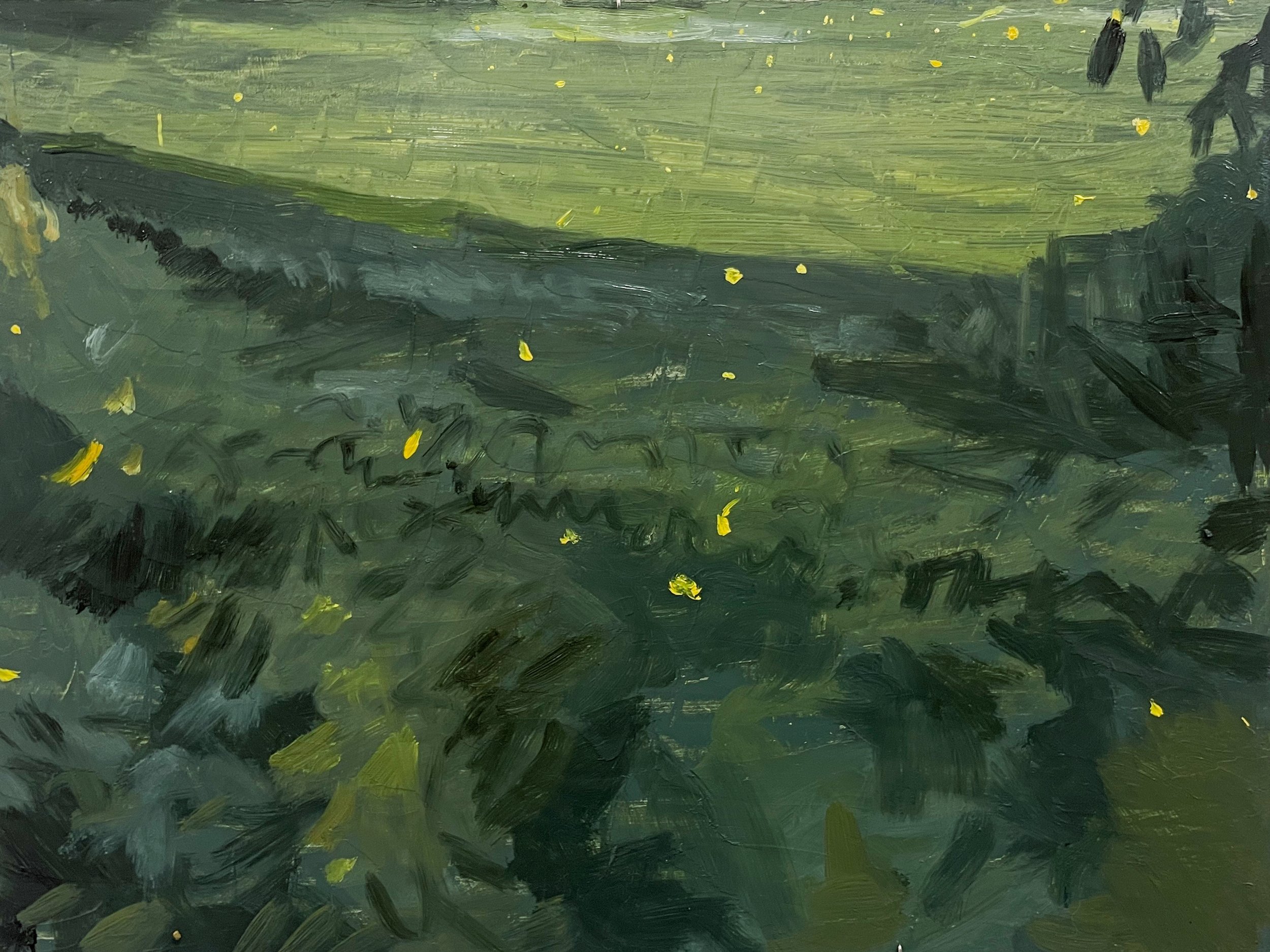 Fireflies, July 2025