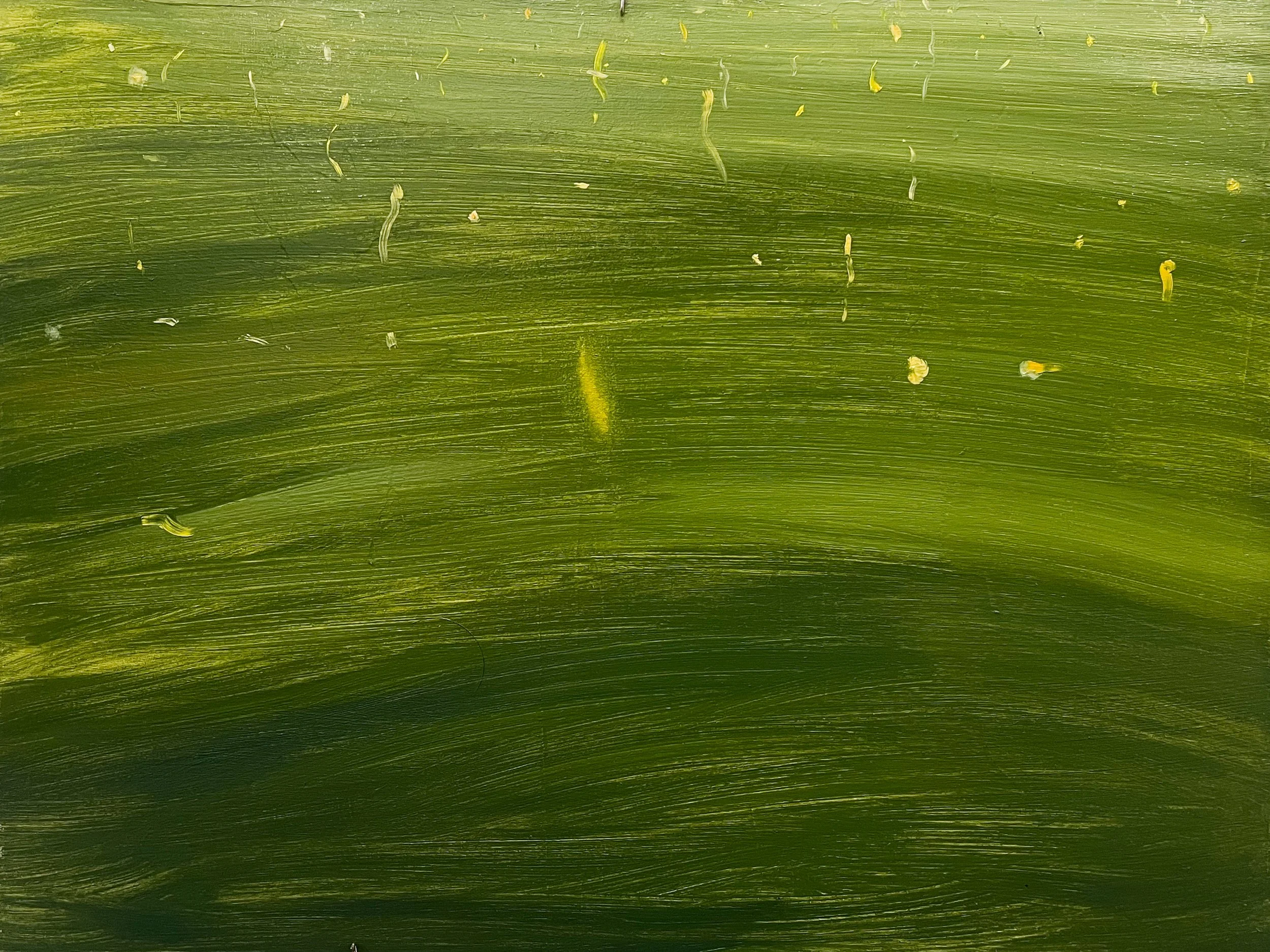 Fireflies, July 2025