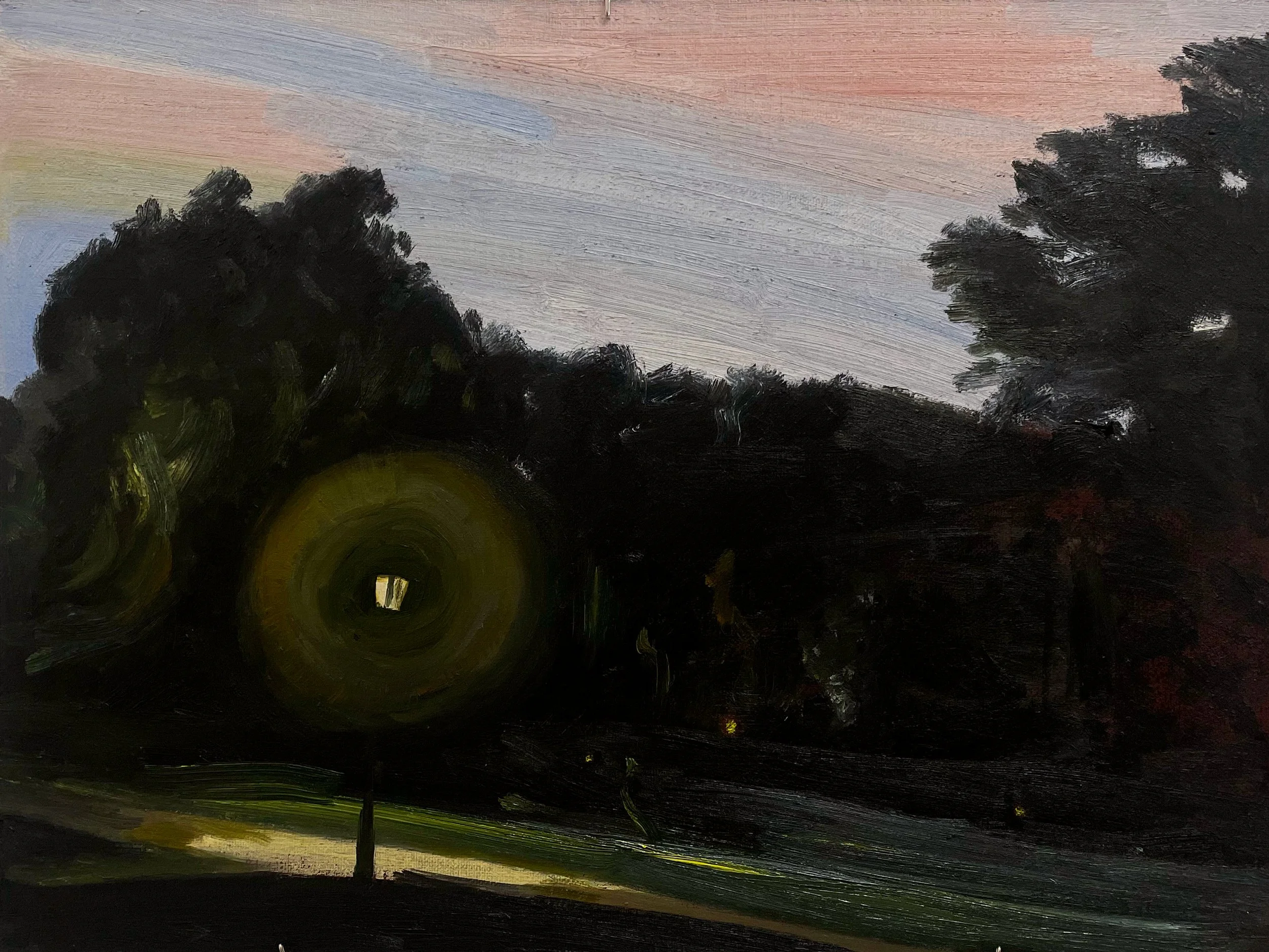 Park Lights, July 2025