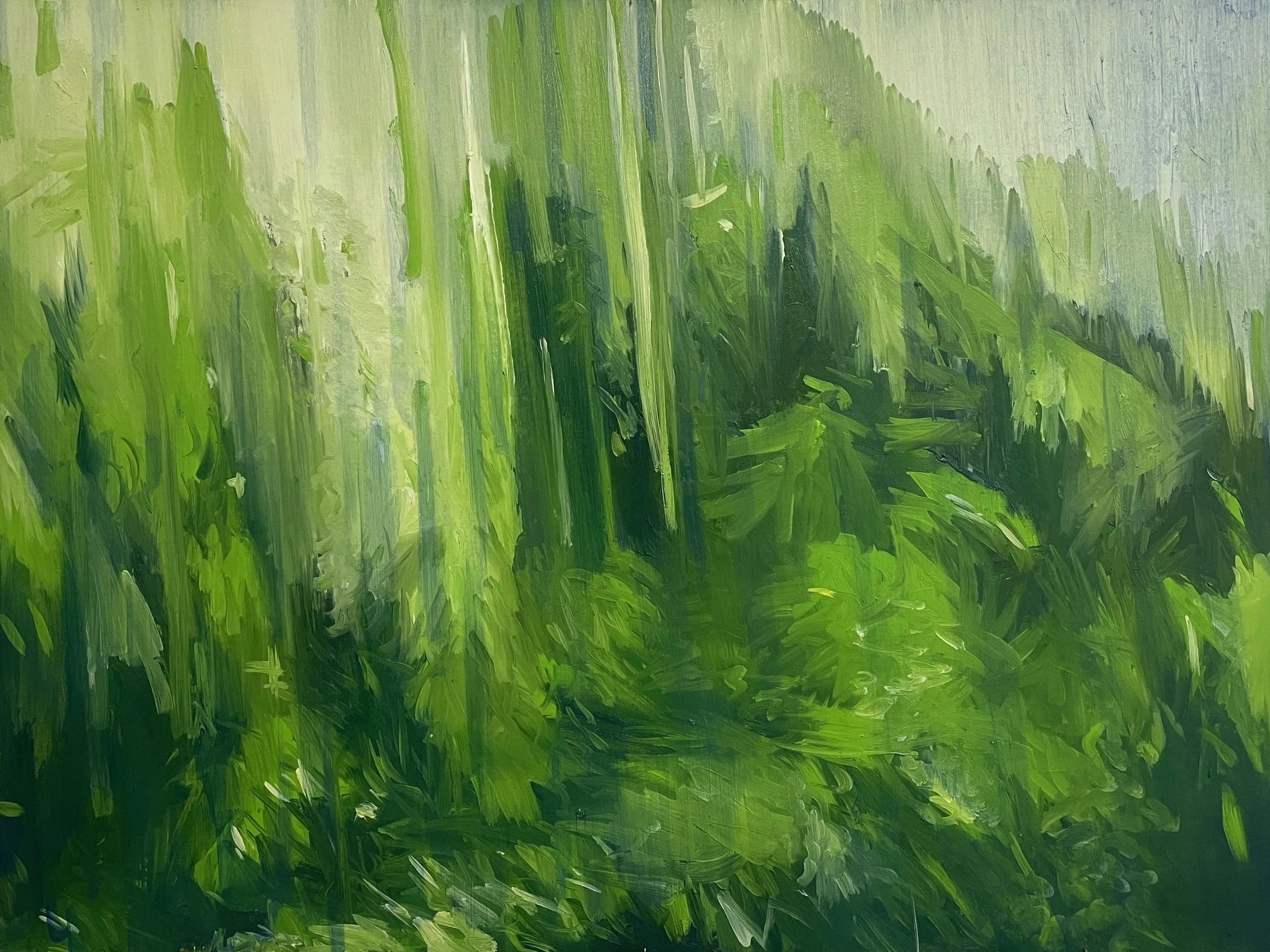 Spring Rain, March 2025