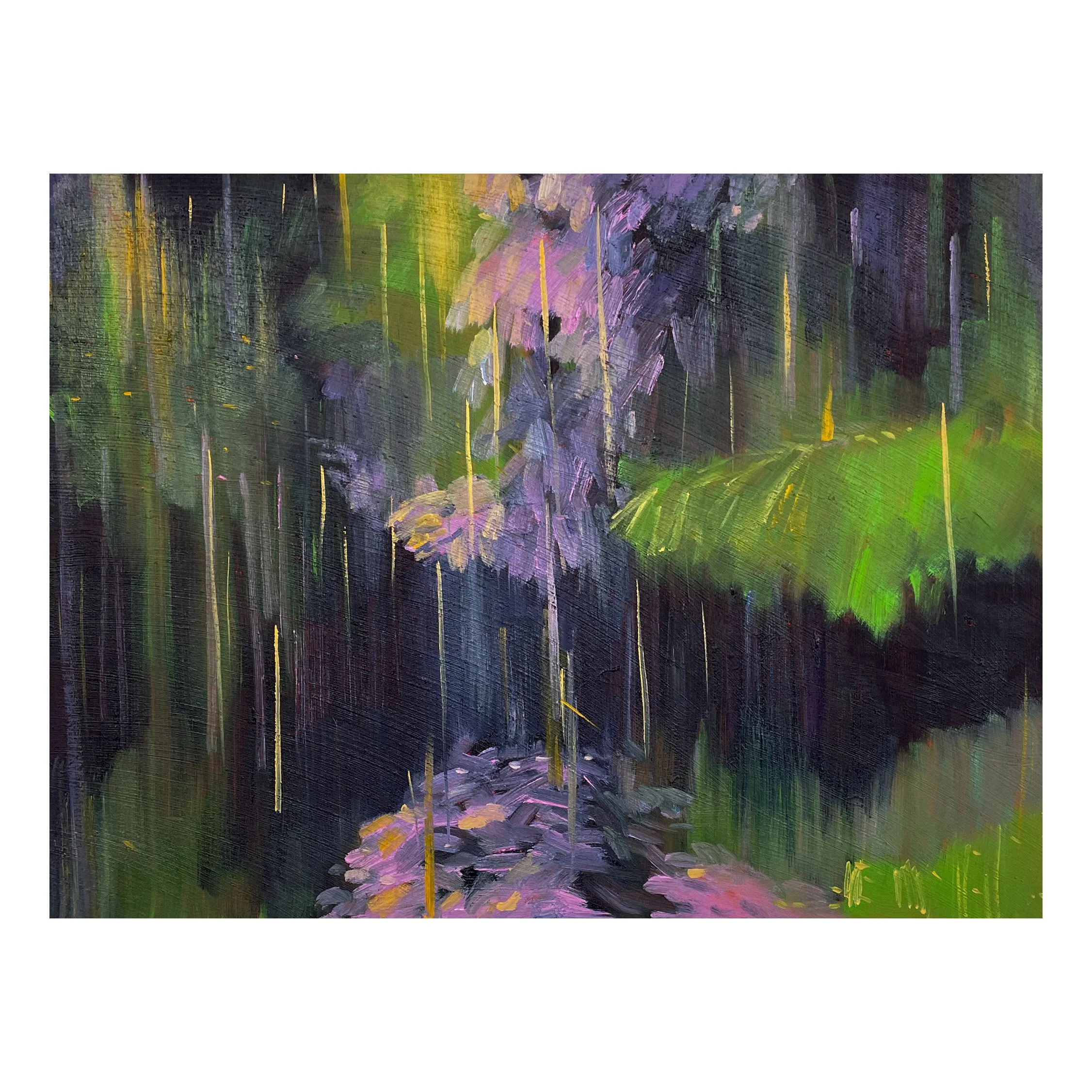 Summer Rain, July 2024