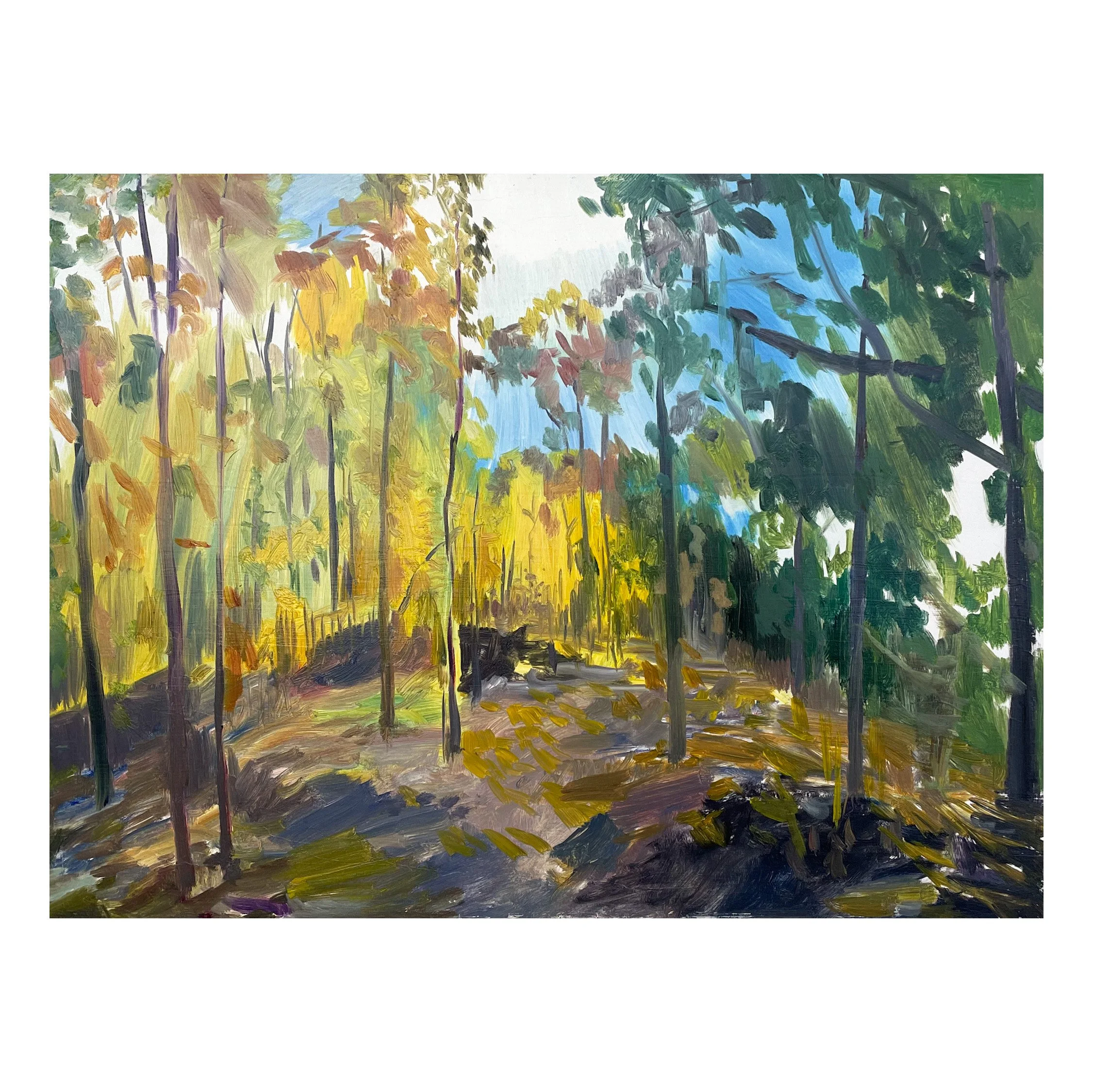 Breakneck Ridge Trail, September 2024