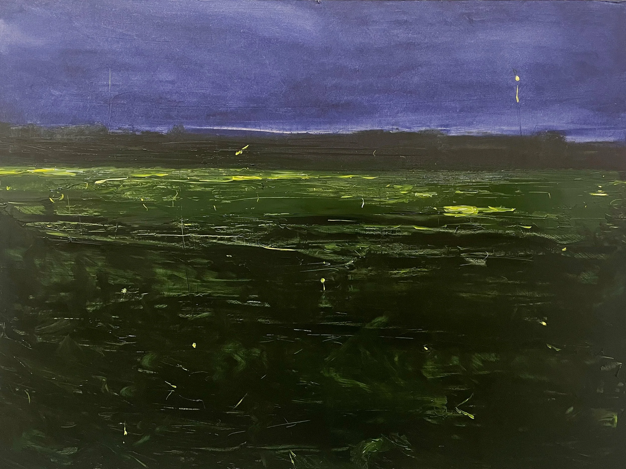 Fireflies, July 2025