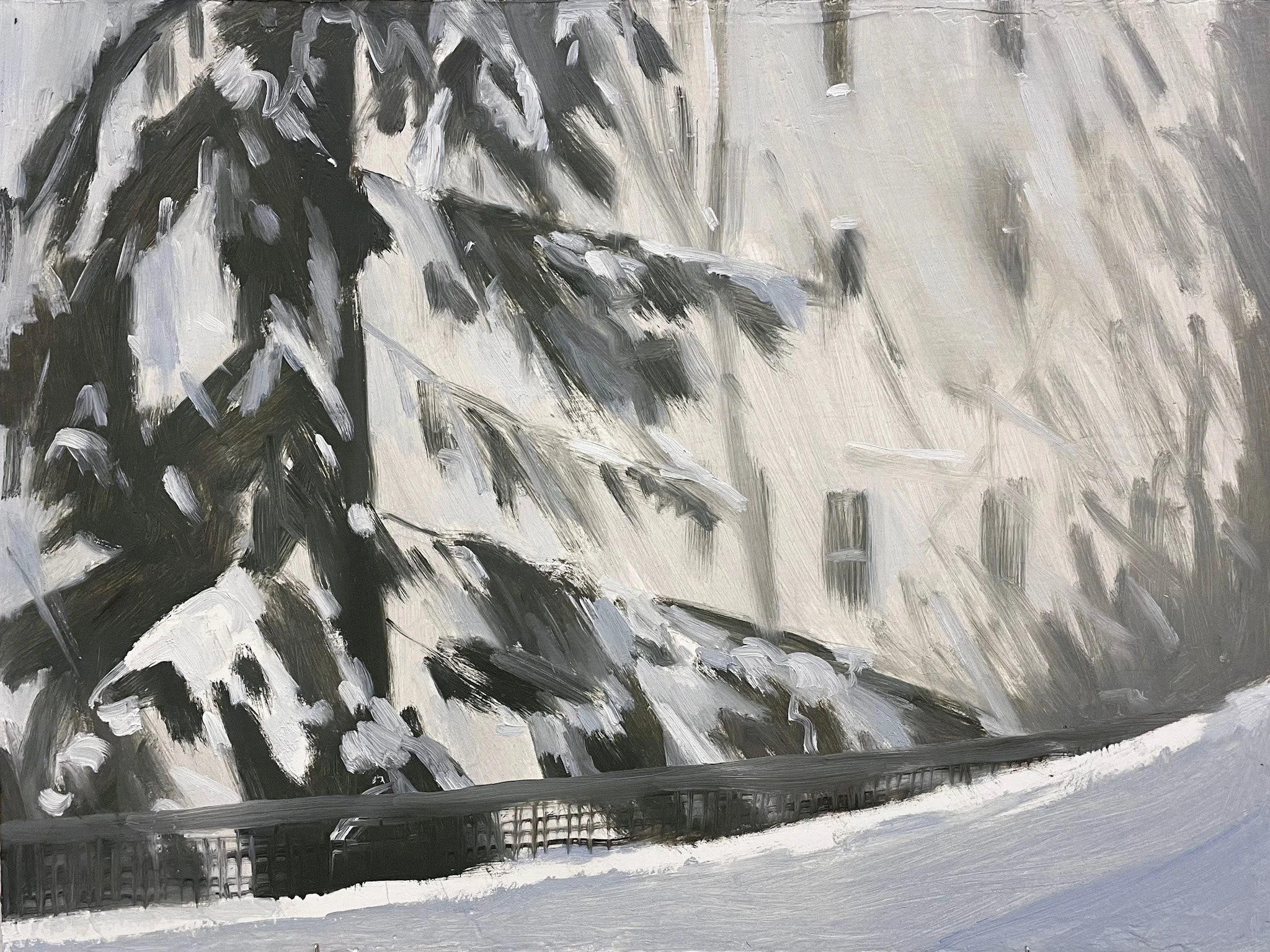 Snow in the Window Screen, January 2026