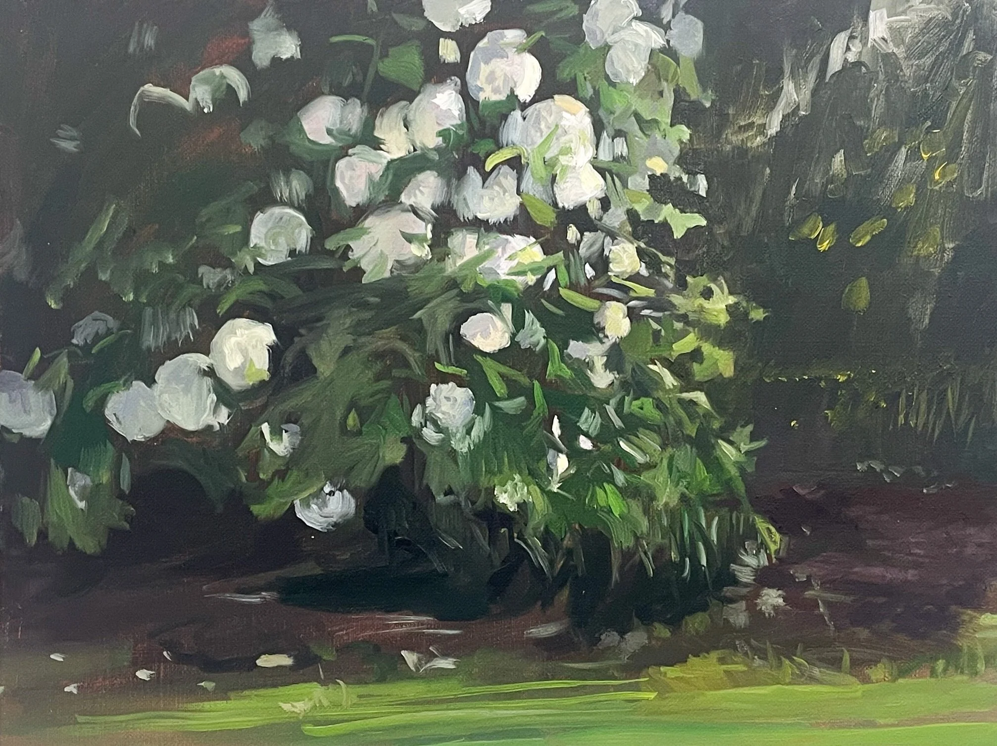 I sent out an email about this piece yesterday. Sign up for my emails if you want more of my thoughts behind the work! 

Snowball Study, April 2026
oil on linen mounted on panel 
9 x 12 in
Available

#pleinairpainter 
#landscapepainting