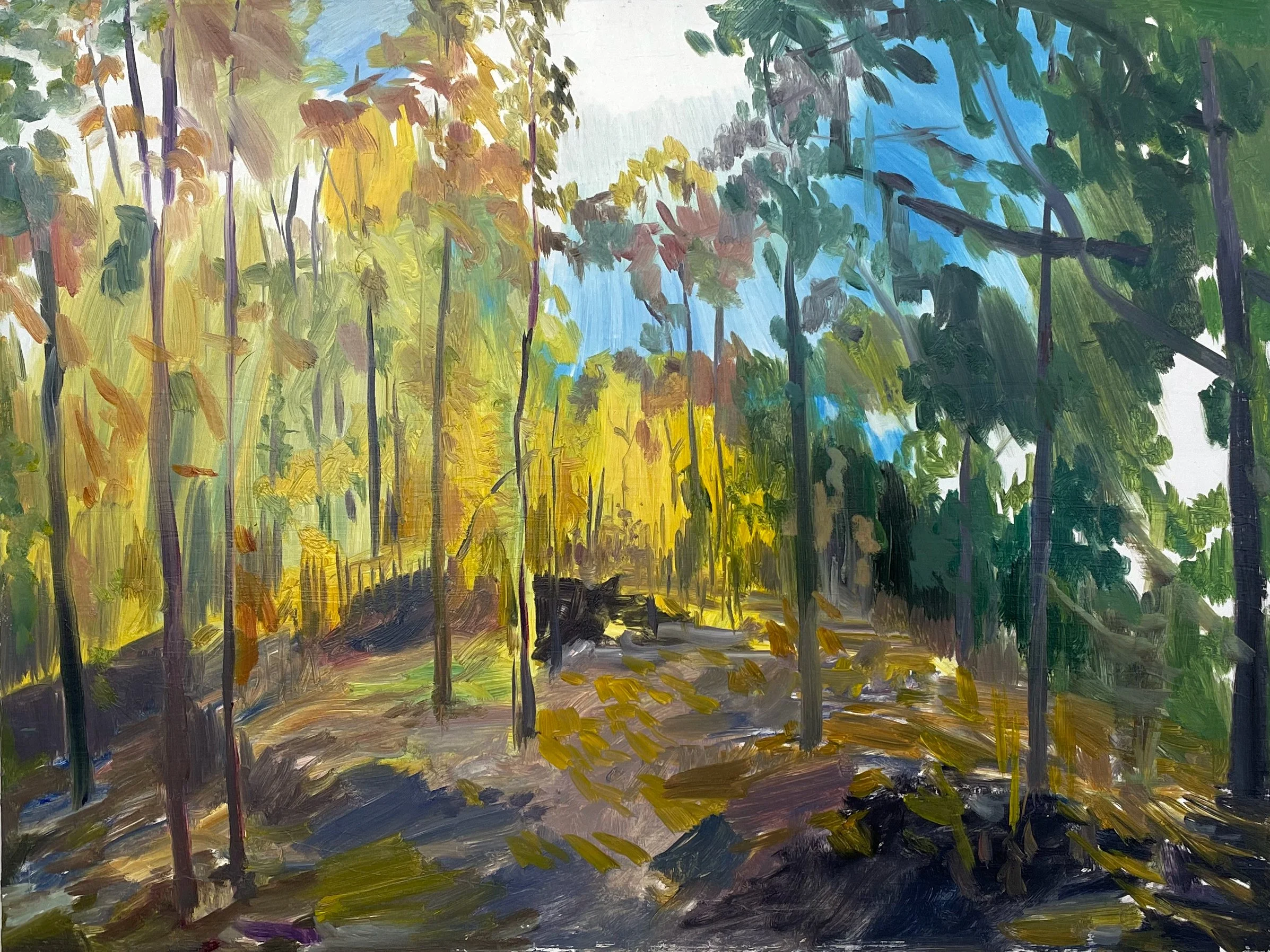 Breakneck Ridge Trail