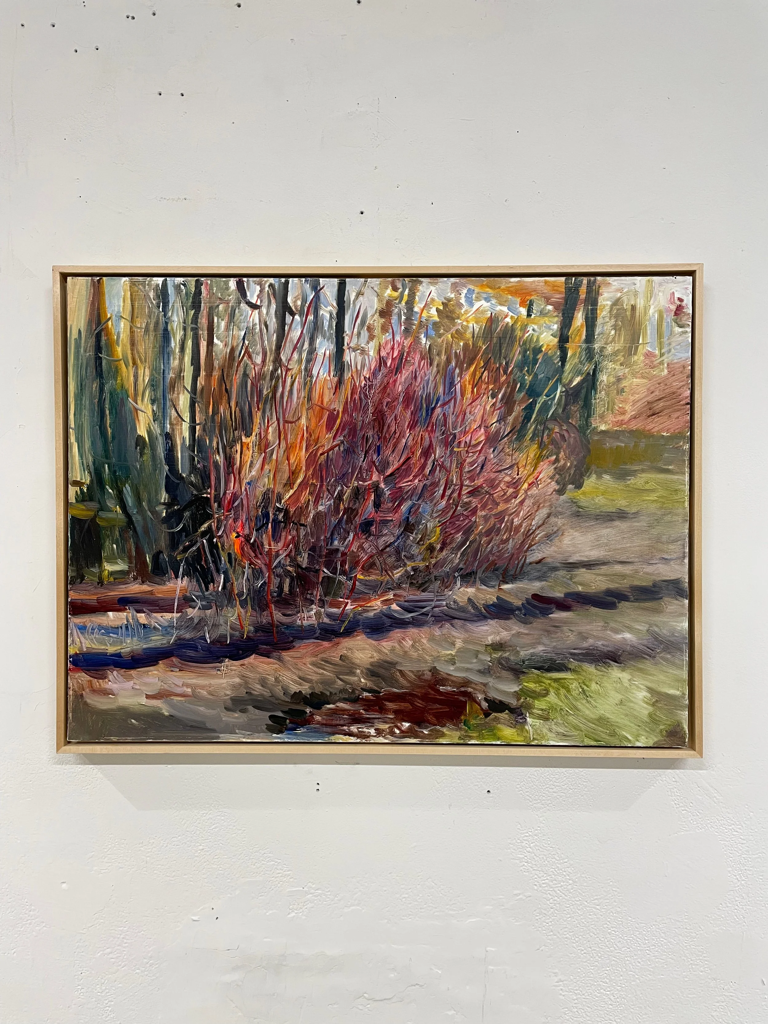 central-park-cardinal-oil-painting-18x24-11.jpeg