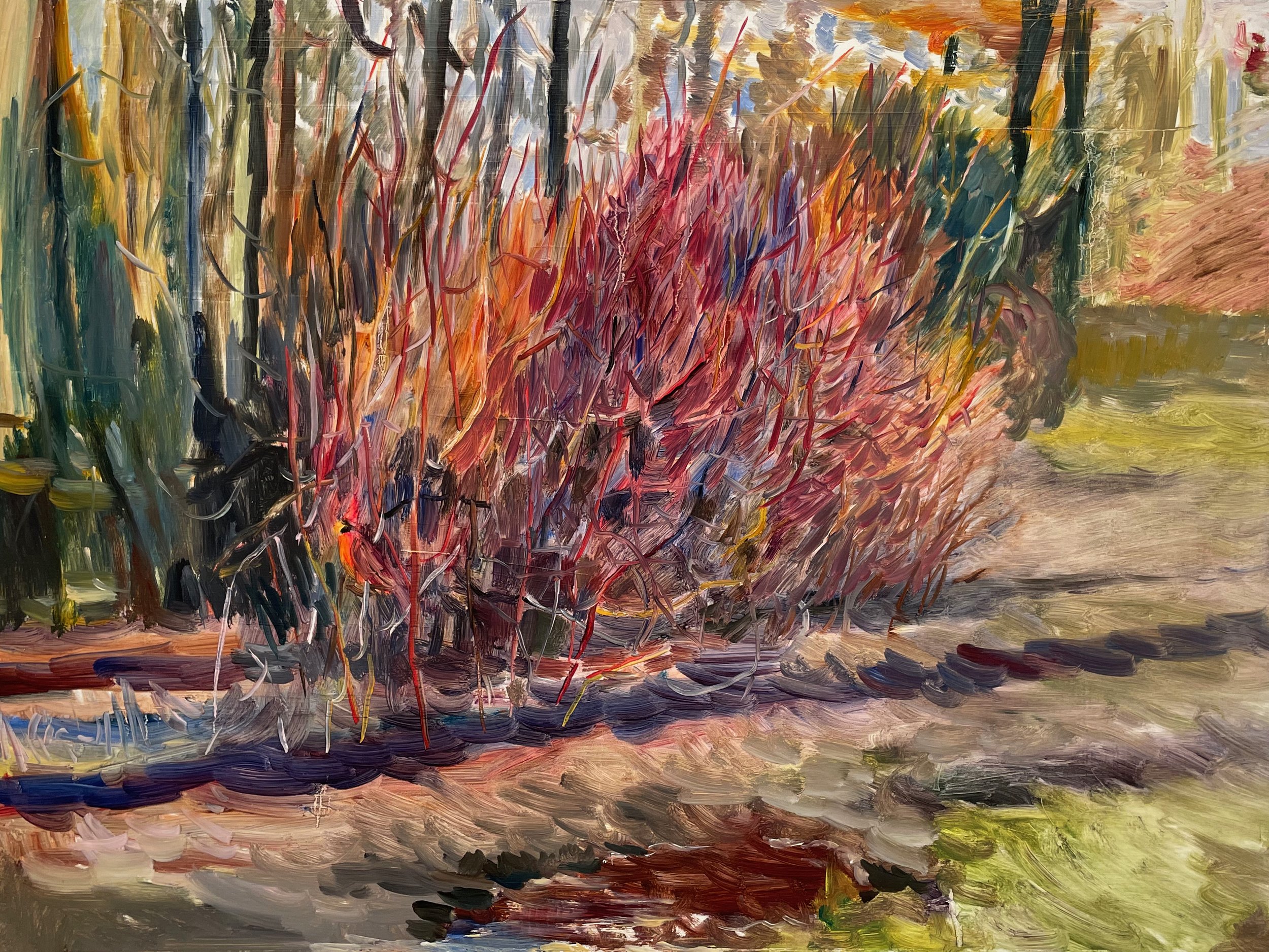 central-park-cardinal-oil-painting-18x24-01.jpeg