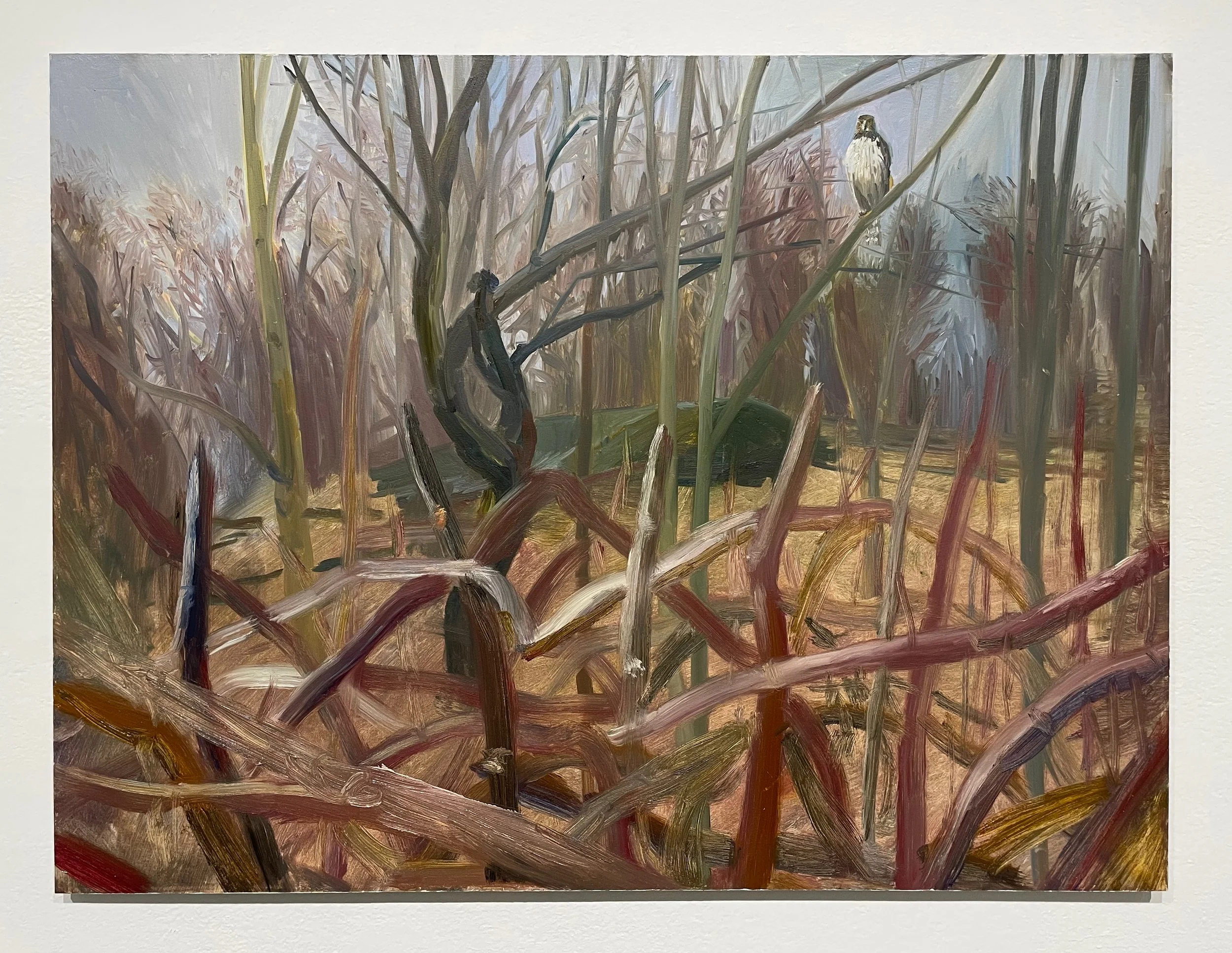 central-park-birds-in-the-bush-oil-painting-18x24-12.jpeg