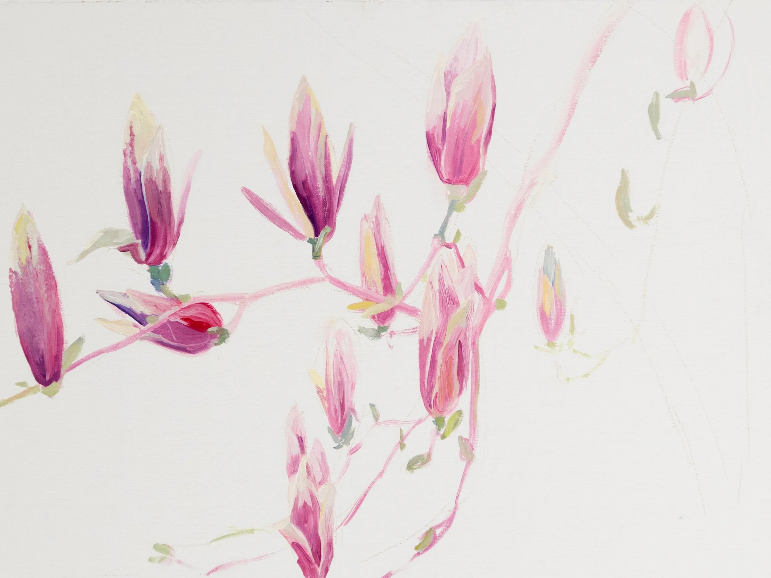 central-park-saucer-magnolias-oil-painting-18x24-01.jpeg