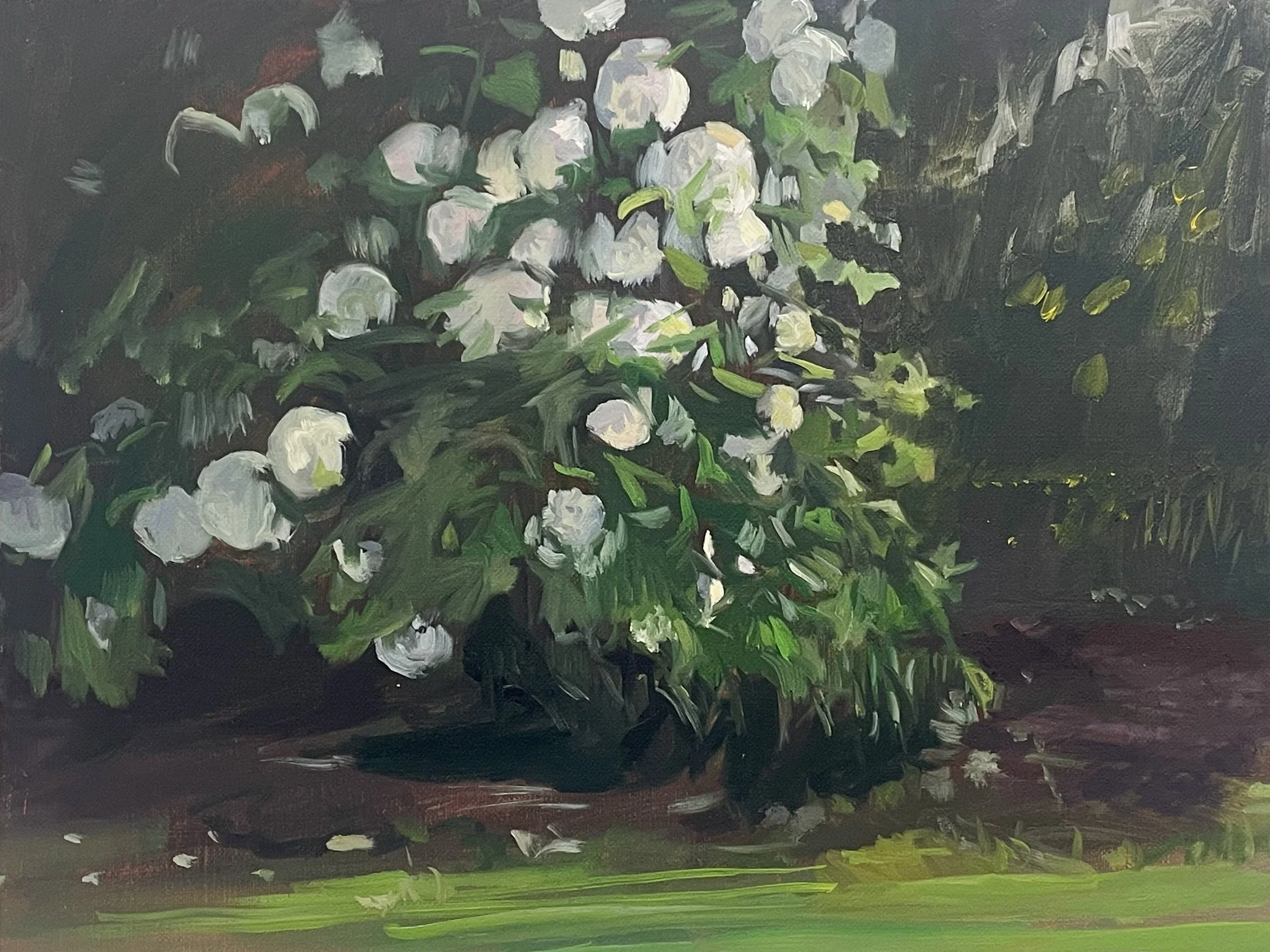 Snowball Study