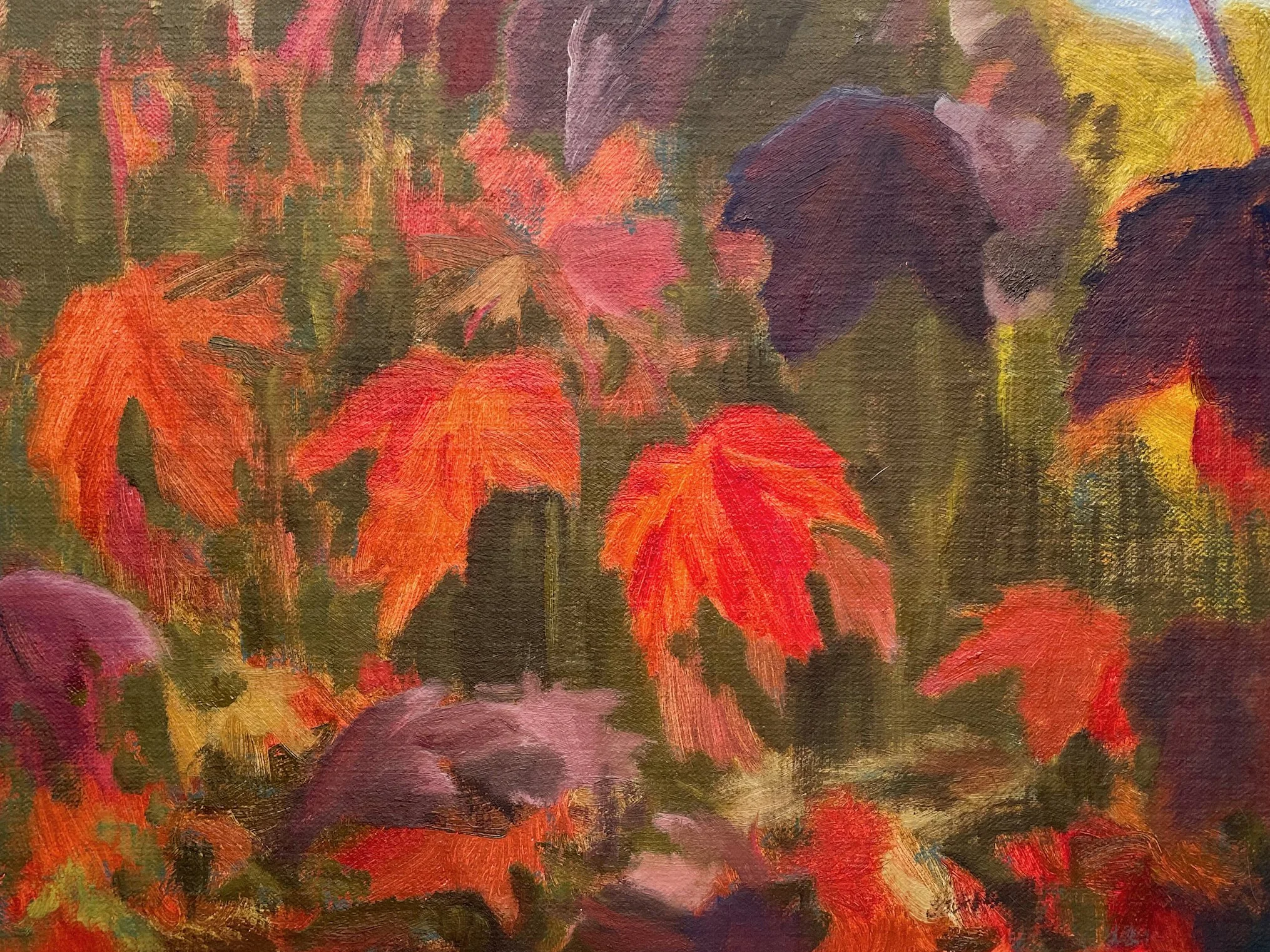 fort-greene-brooklyn-sugar-maple-oil-painting-9x12-01.jpeg