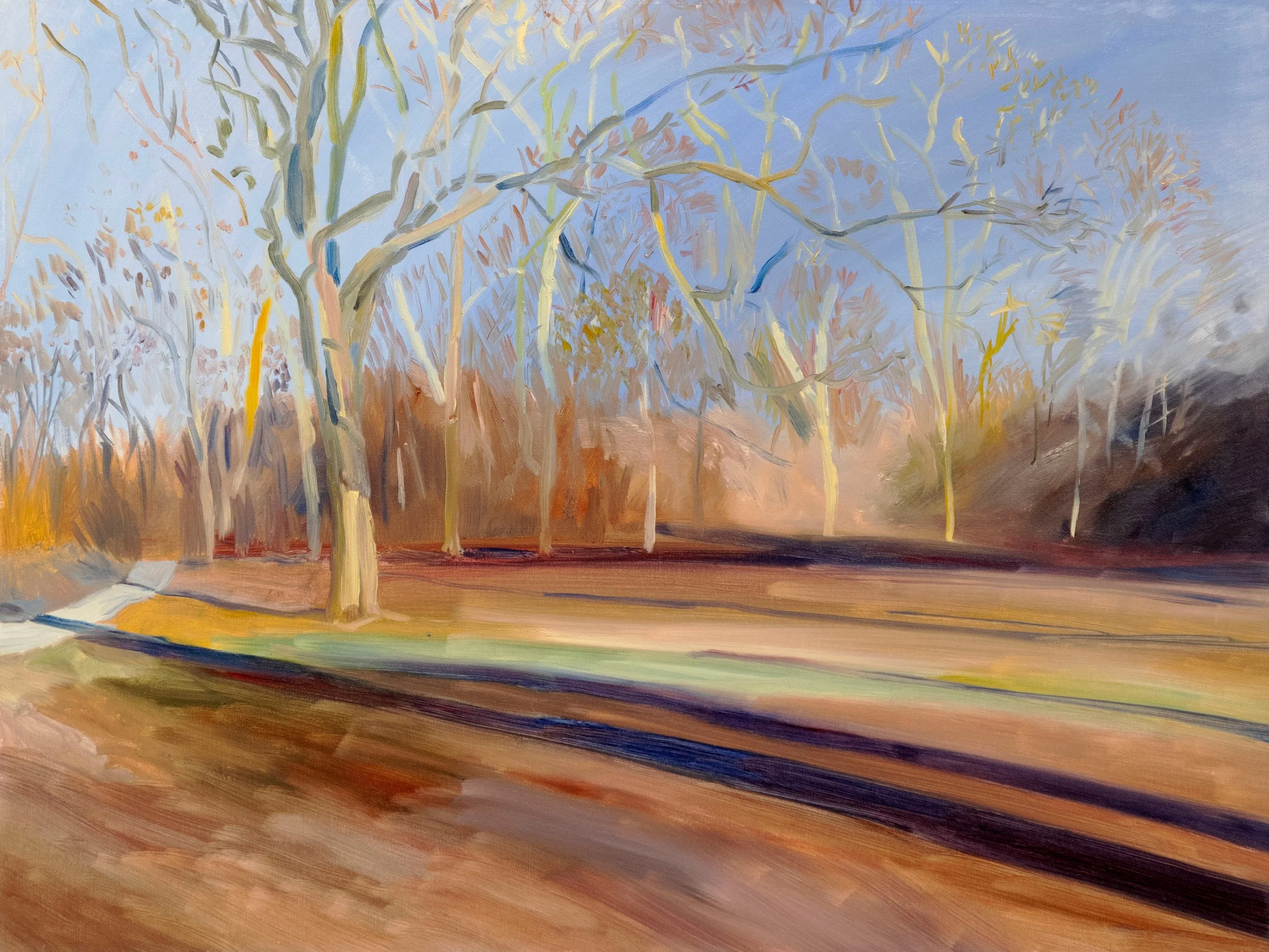 central-park-late-light-oil-painting-18x24-01.jpeg