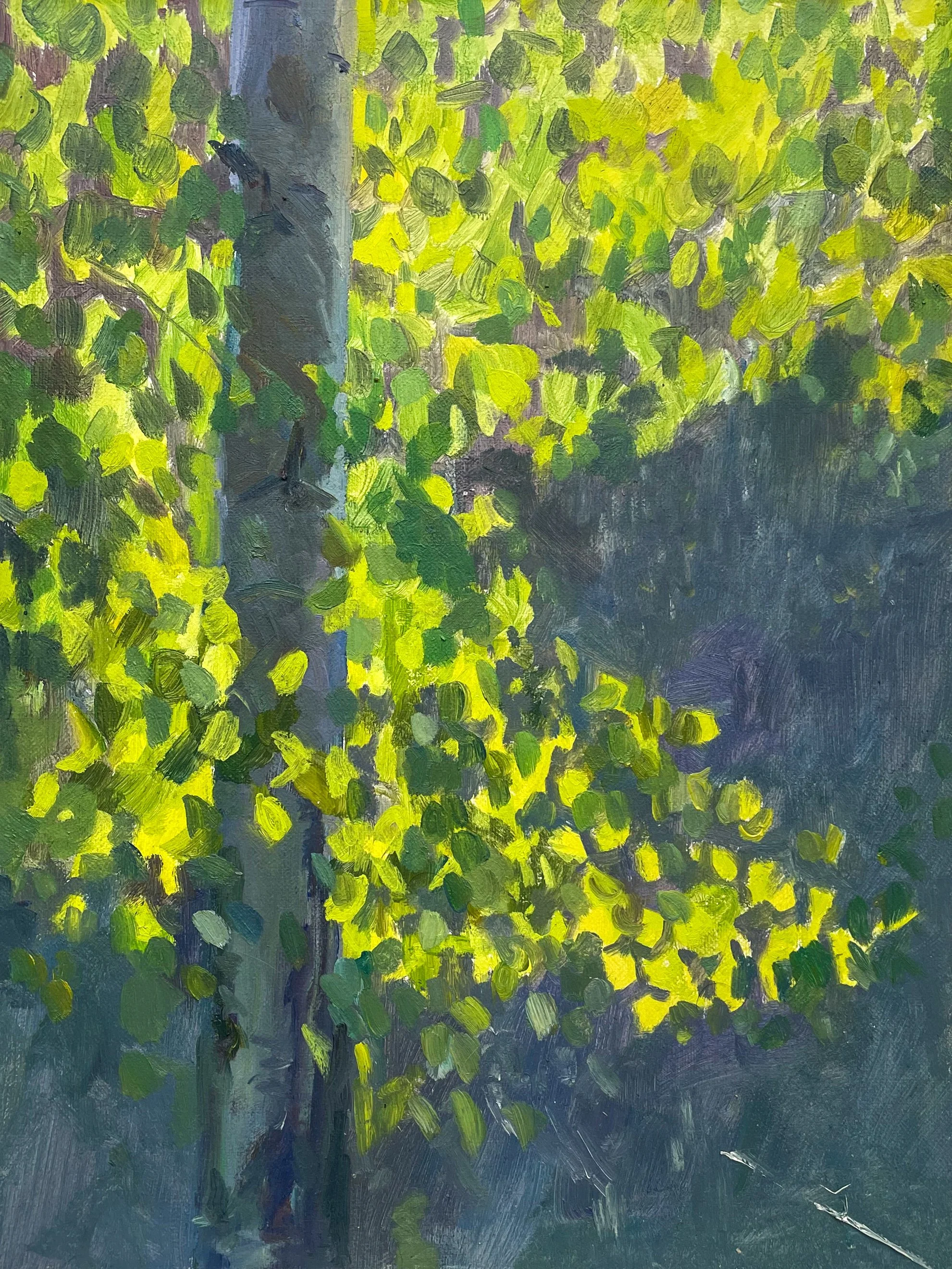Aspen Glow